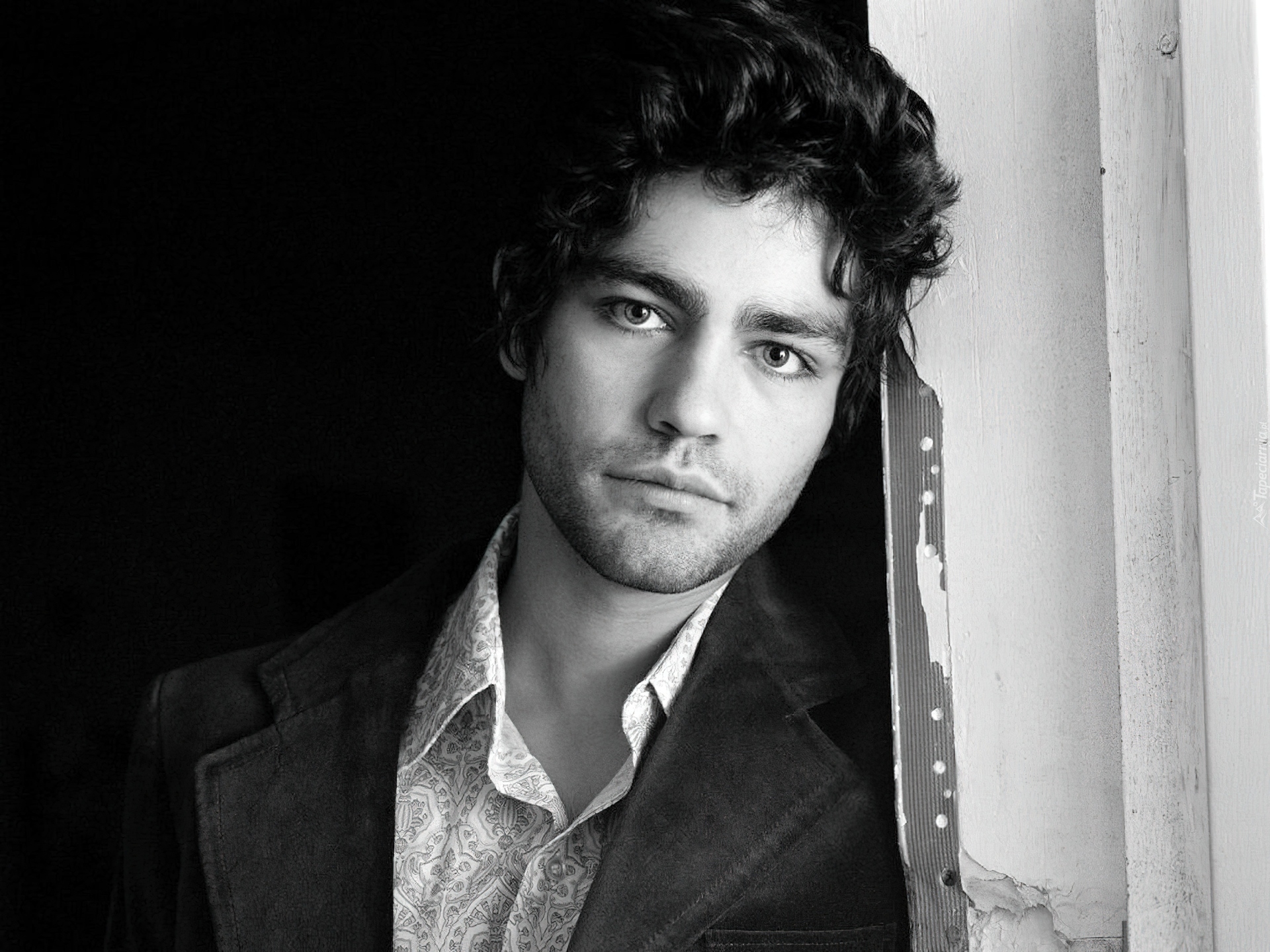 Adrian Grenier, Aktor