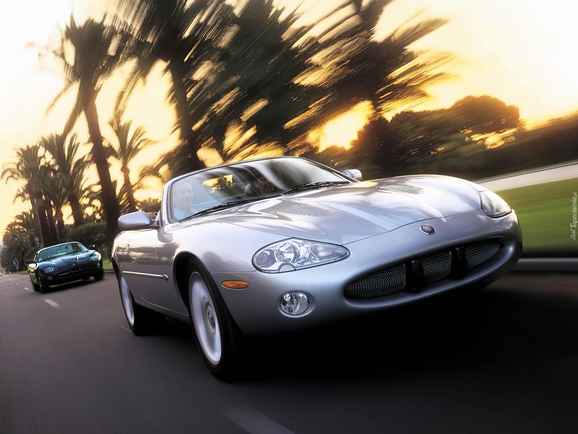 Jaguary XKR, Palmy