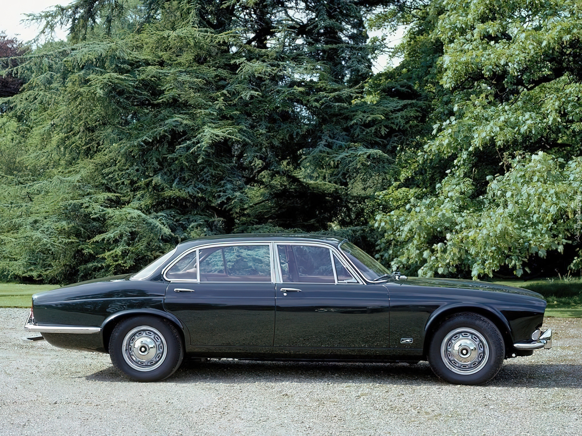 Czarny, Jaguar X-Type