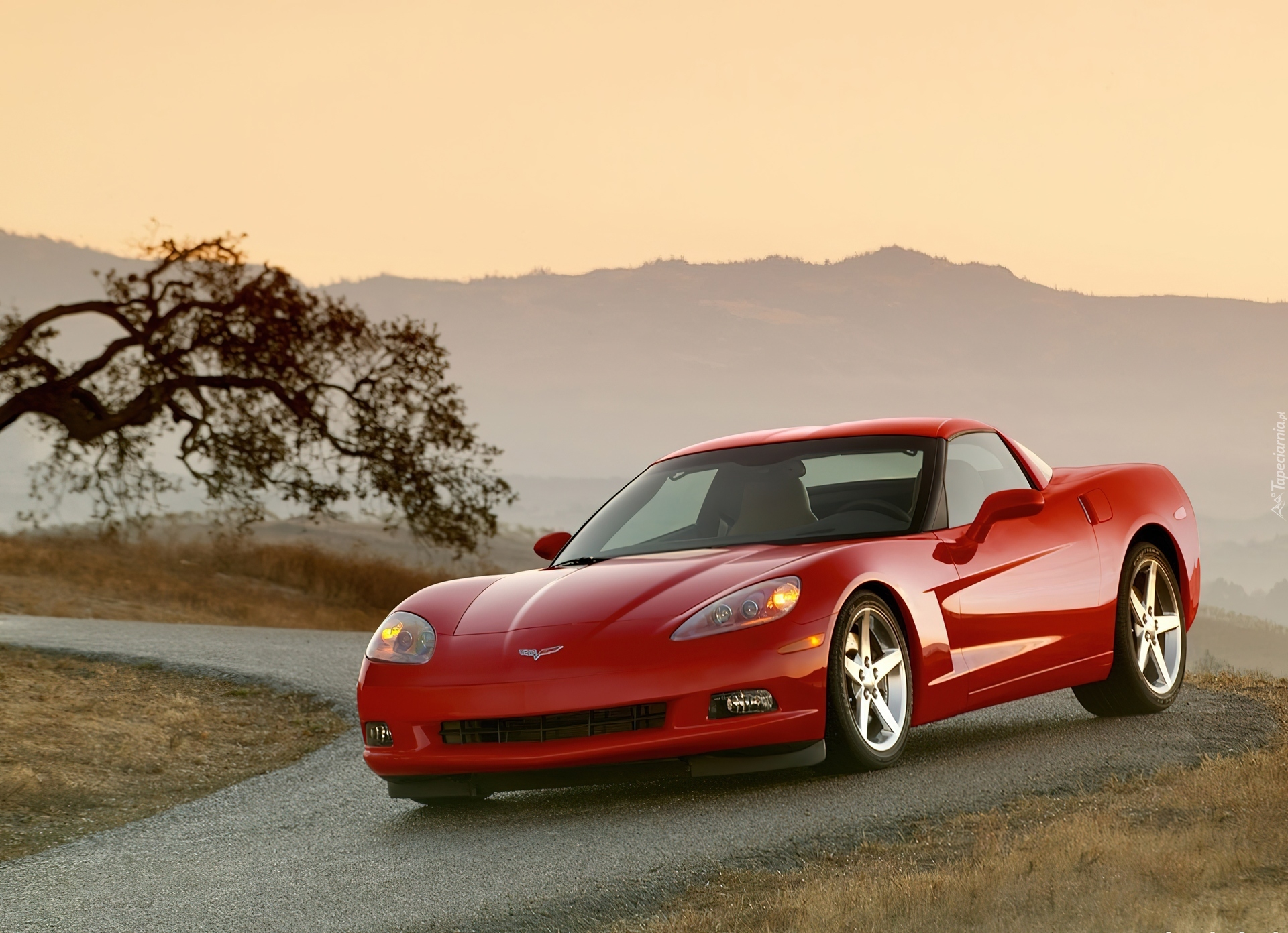 Chevrolet Corvette, Maska, Zderzak