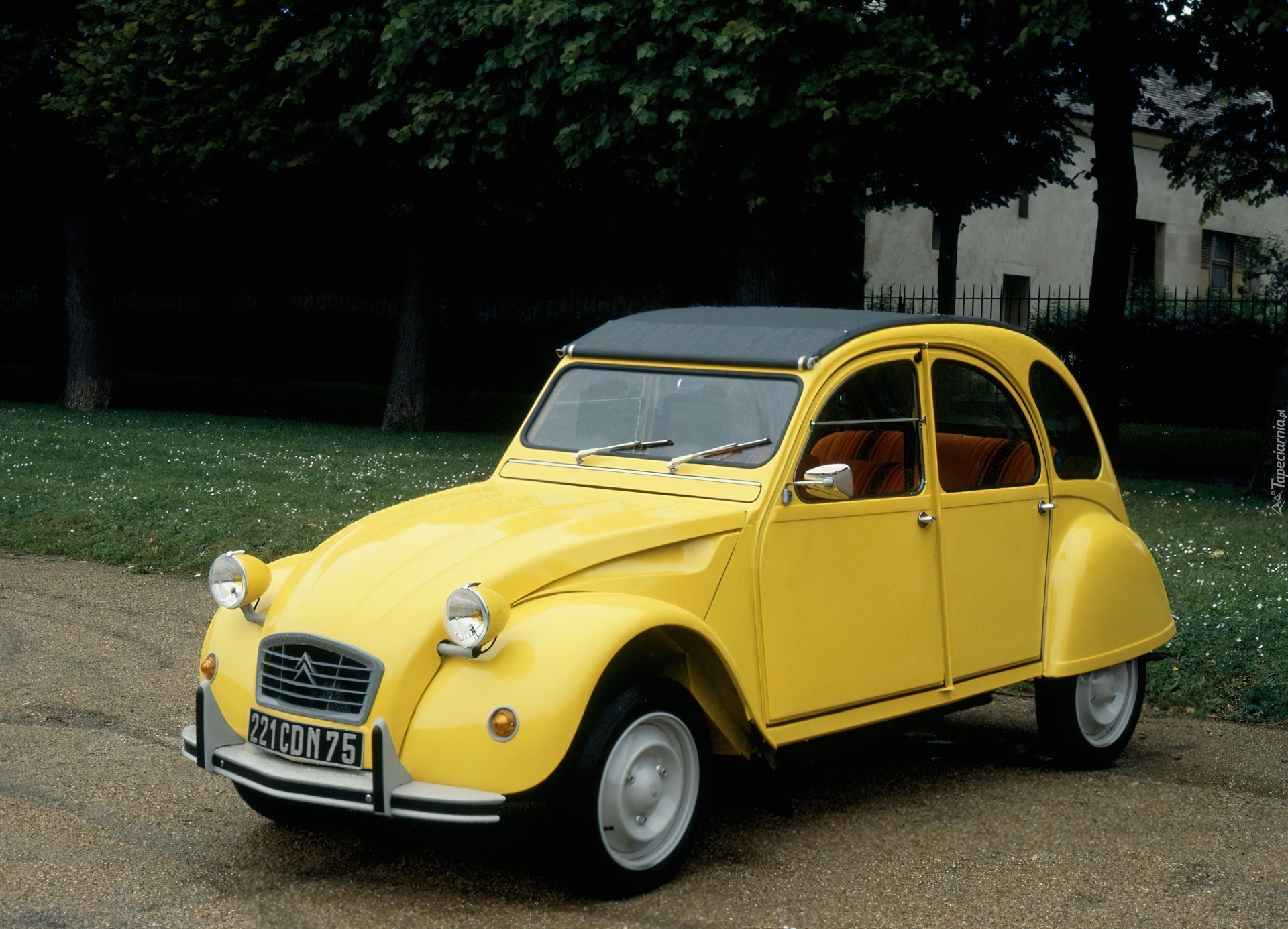 Żółty, Citroen 2CV Special, Zabytkowy