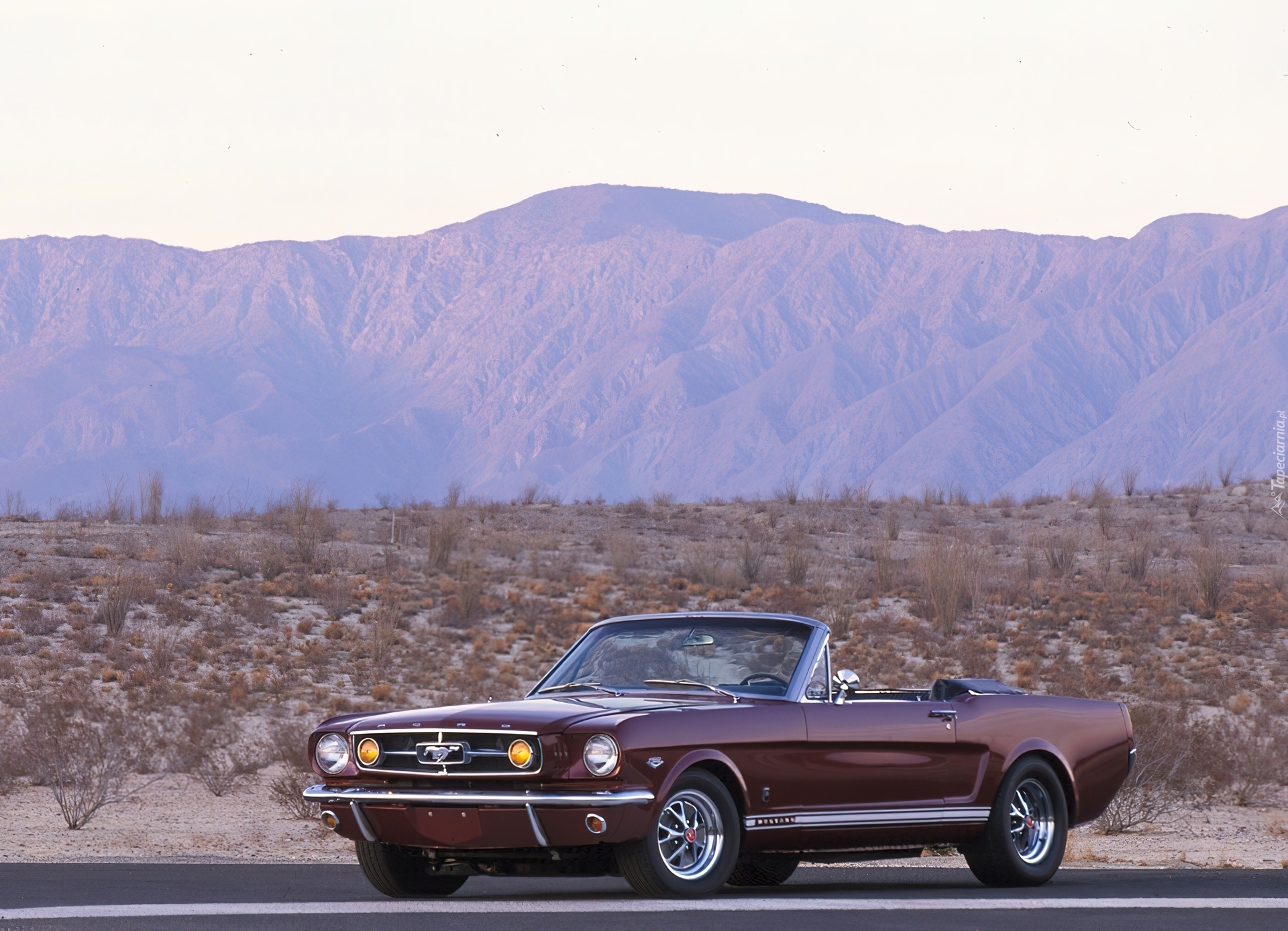 Wiśniowy, Ford Mustang K-Code
