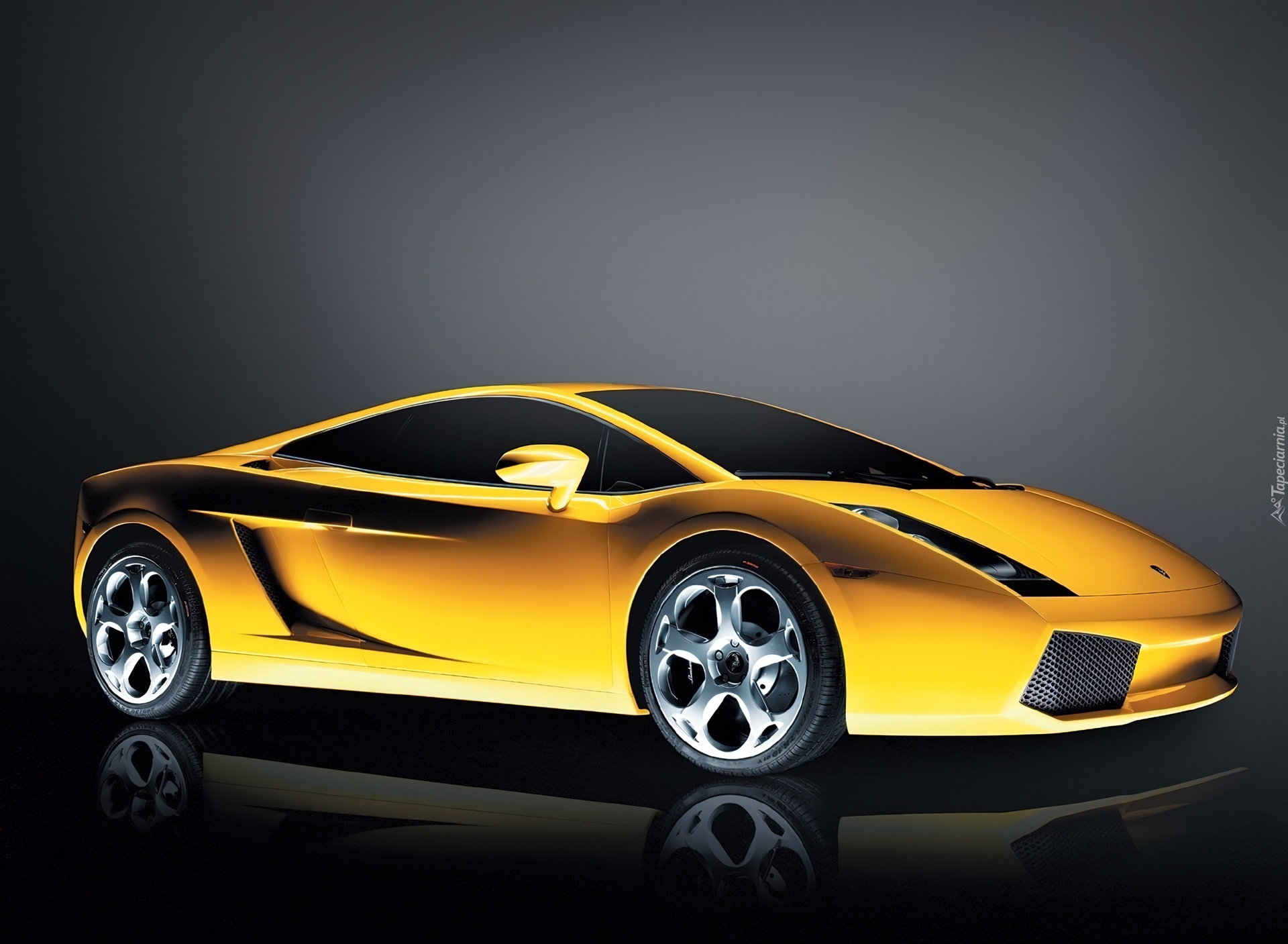 Lamborghini Gallardo, Grafika