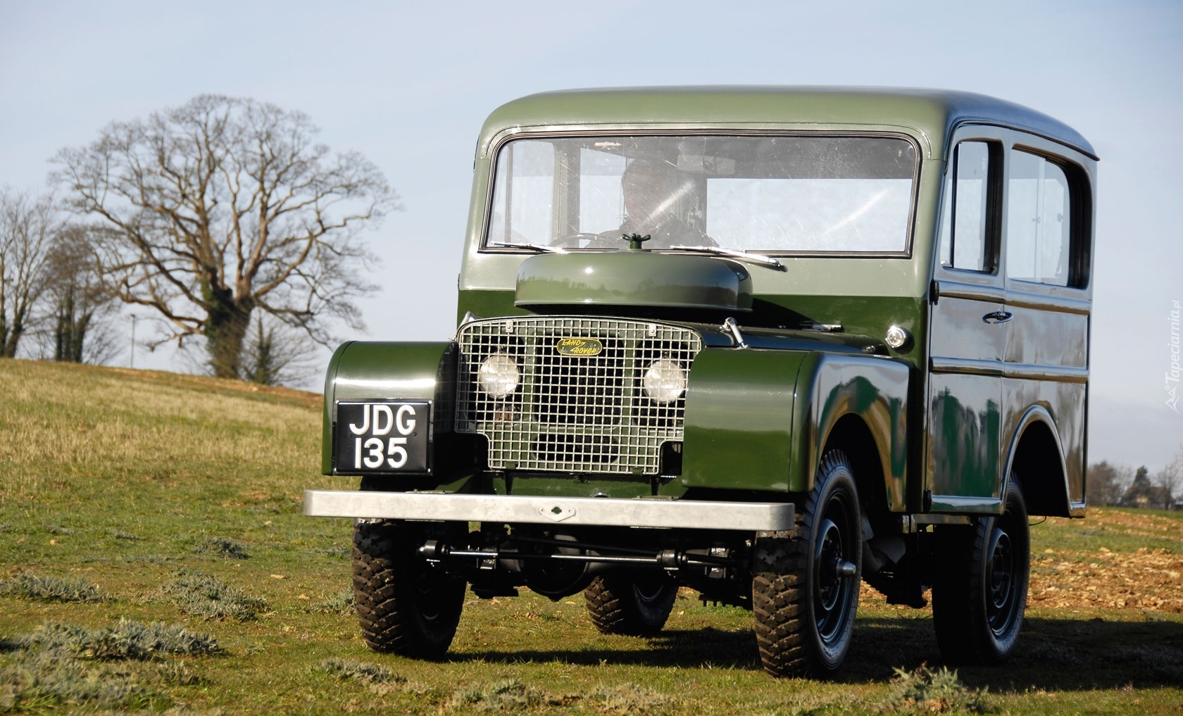 Land Rover 80 Station Wagon