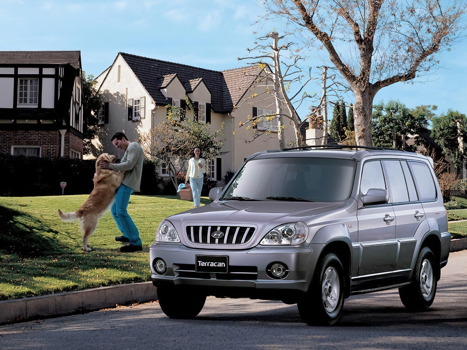 Hyundai Terracan, Rodzina, Domy