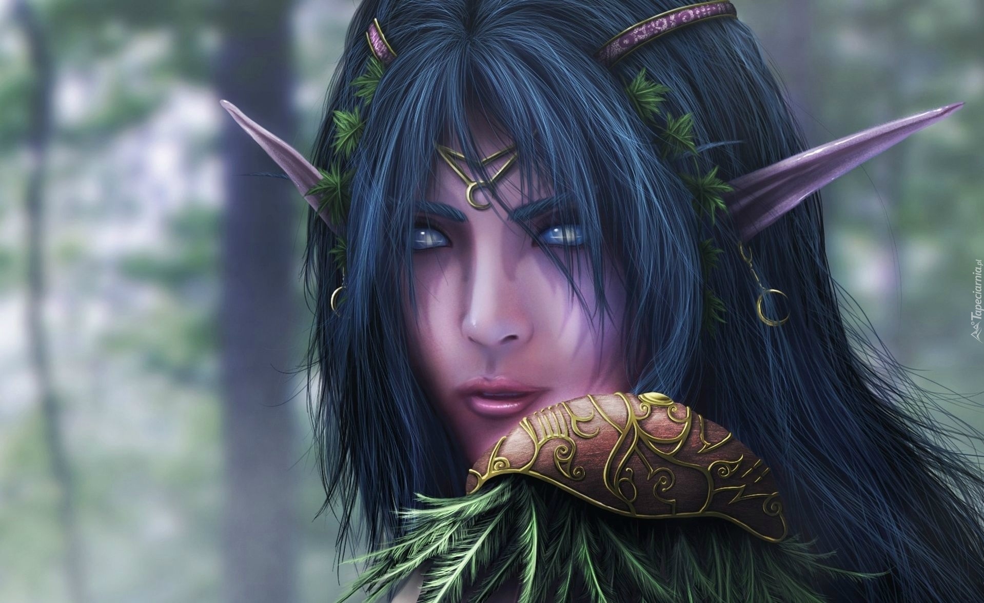 World Of Warcraft, Nocny Elf