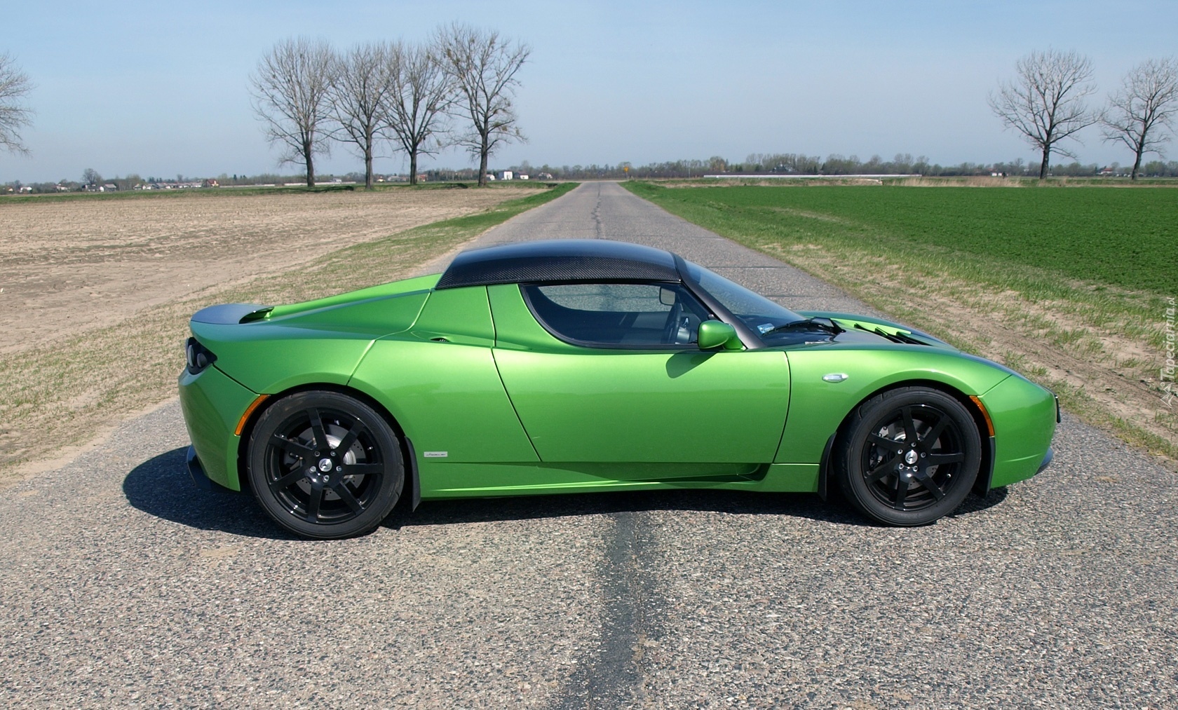 Tesla Roadster Sport