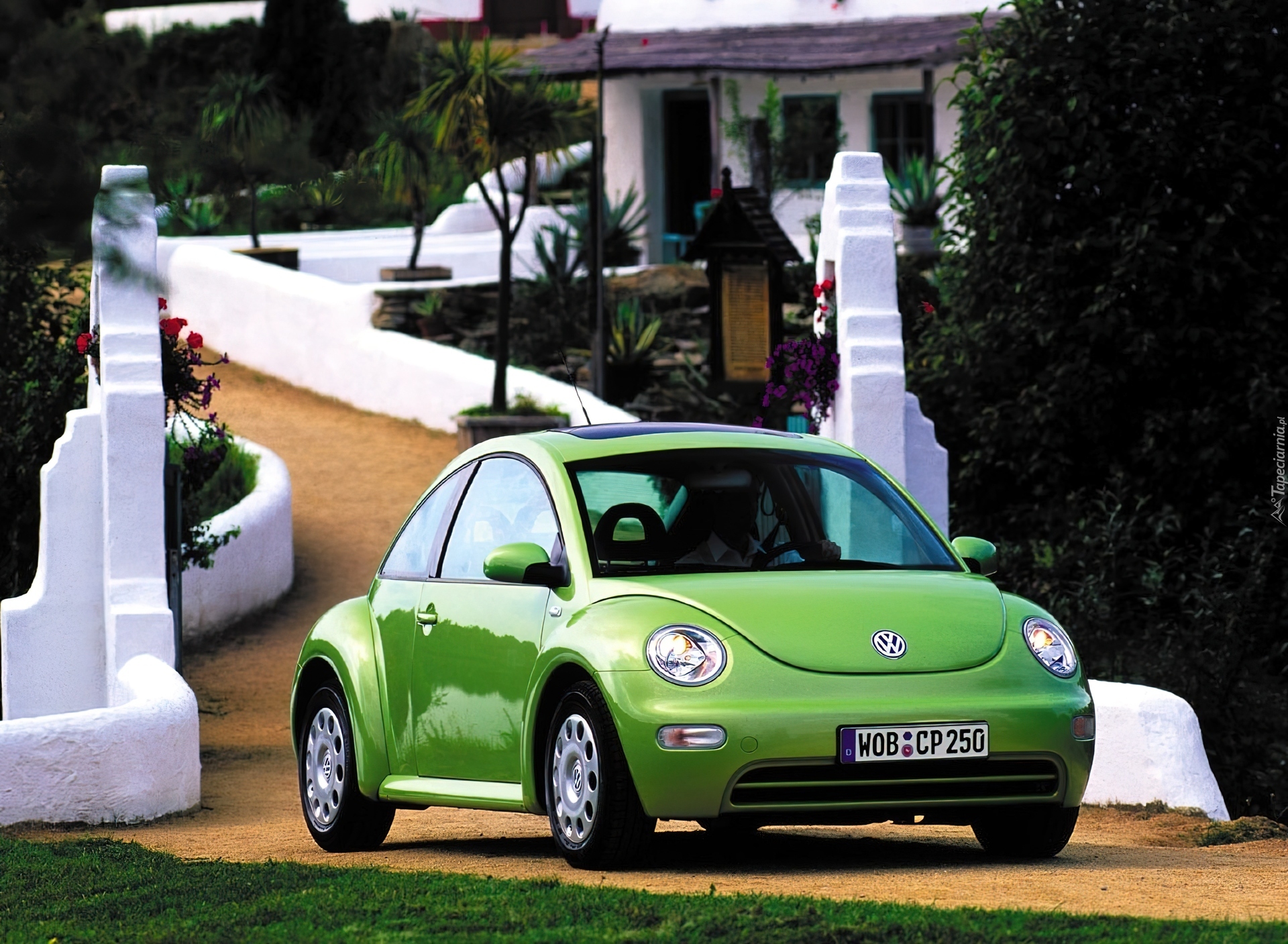 Zielony, Volkswagen New Beetle
