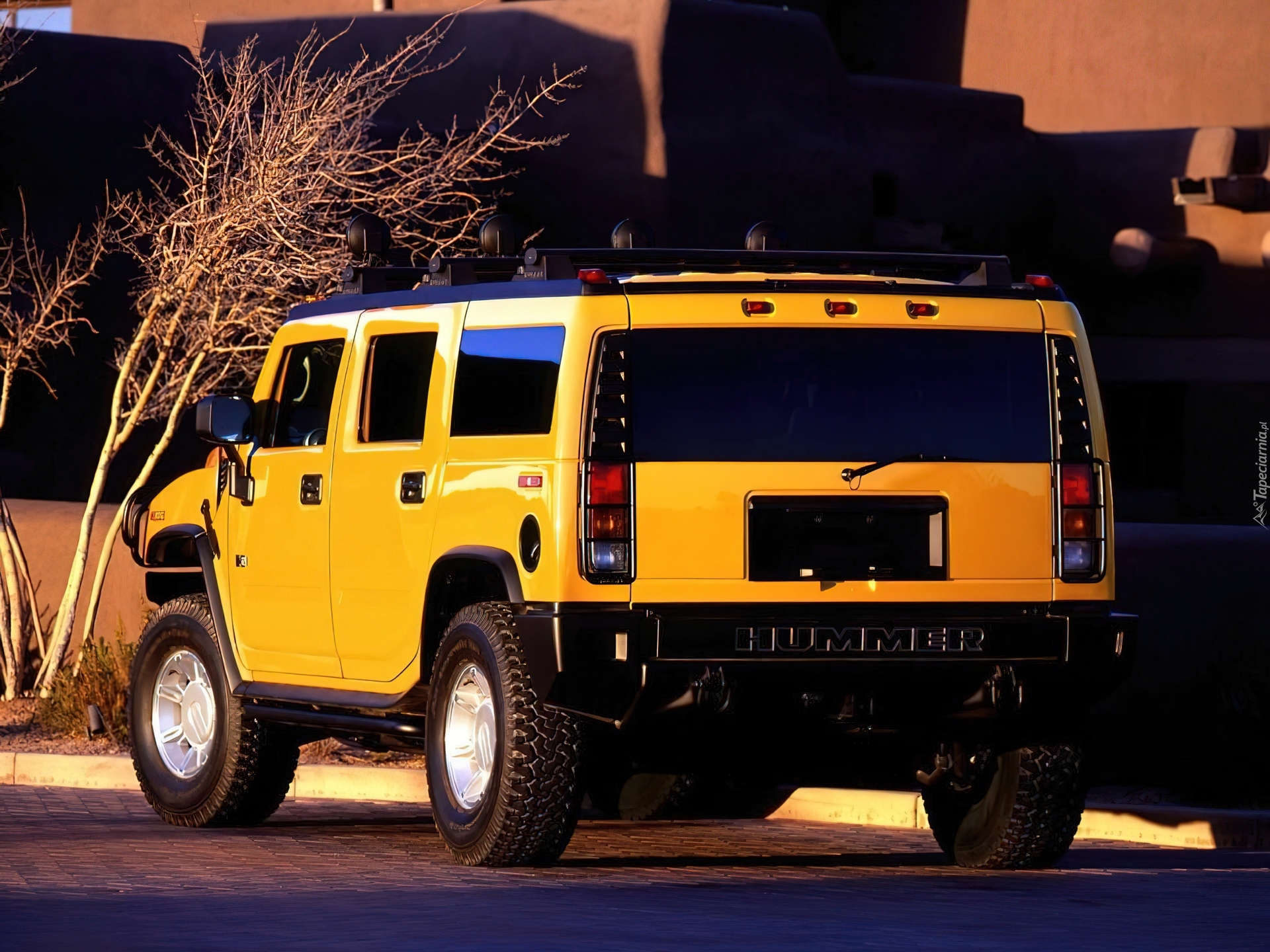 Żółty, Hummer H2