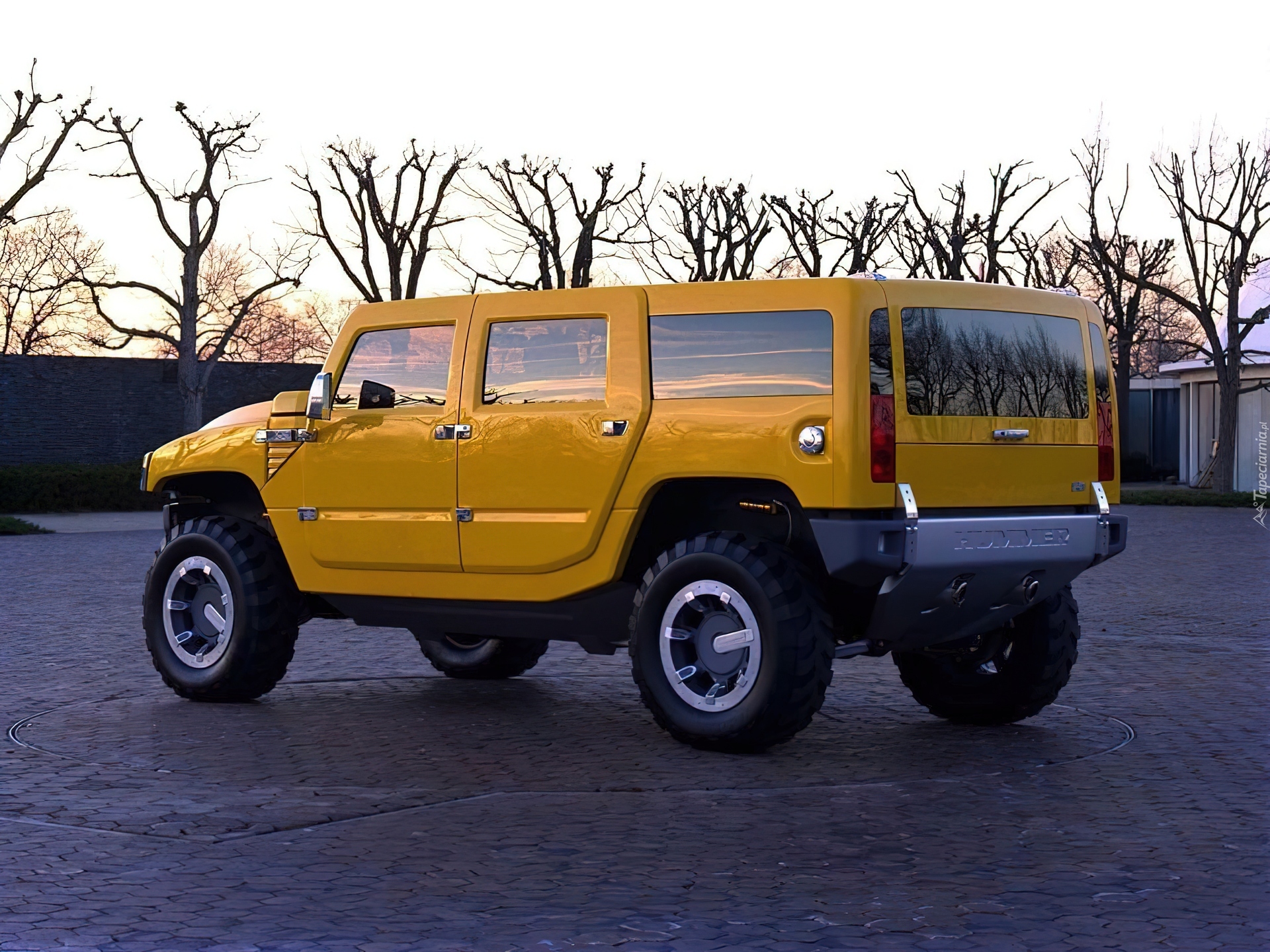 Żółty, Hummer H2