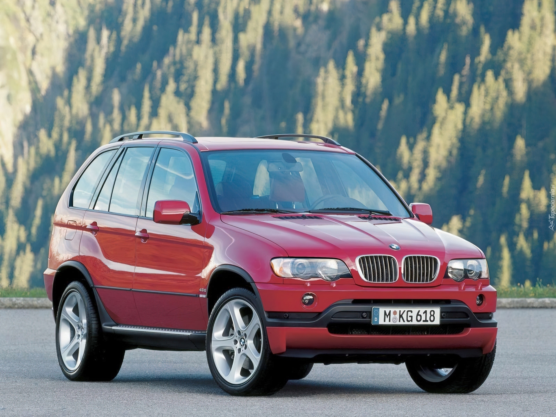 BMW X5, Relingi, Dachowe