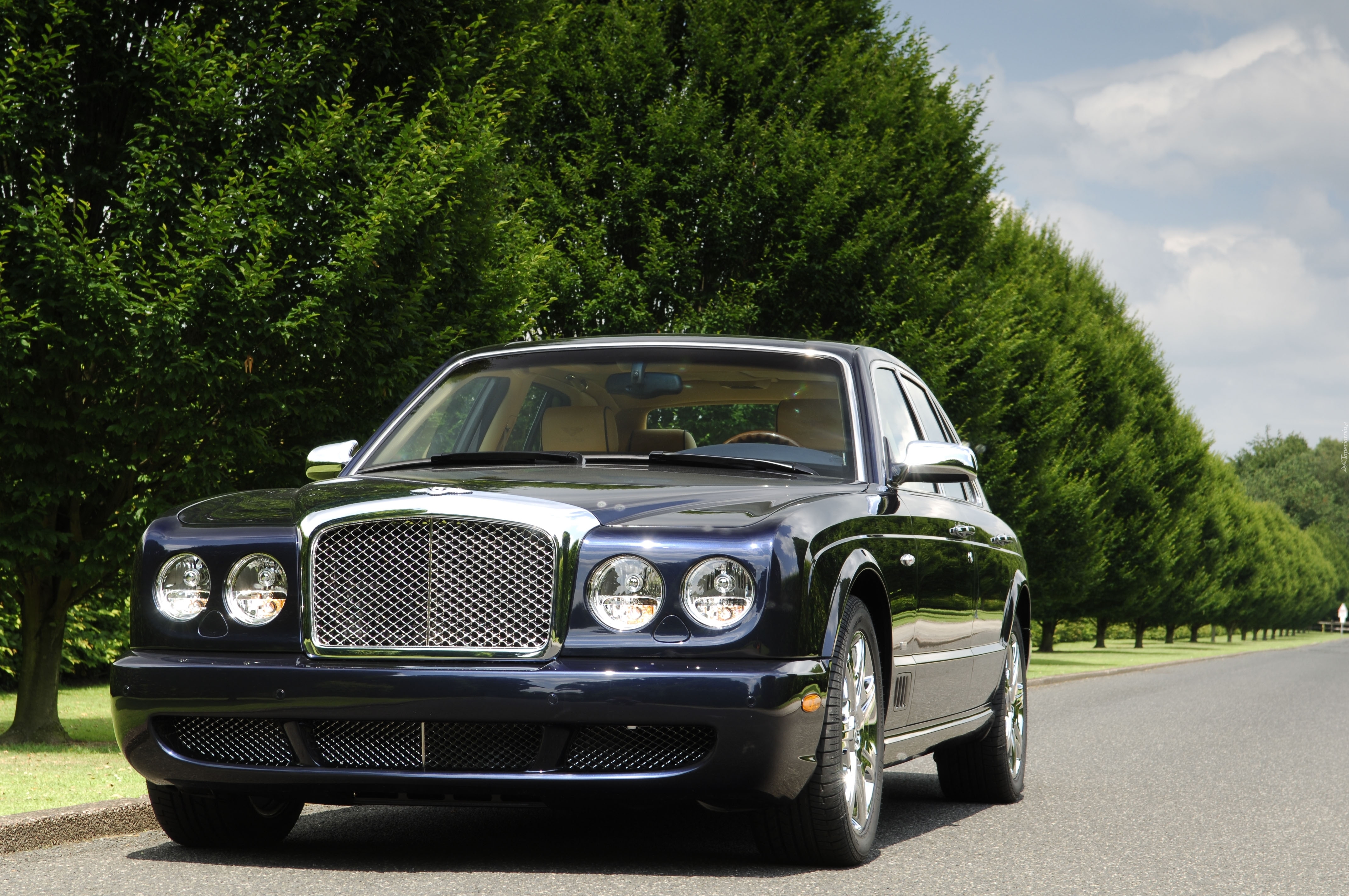 Bentley Arnage, Blue Train Series