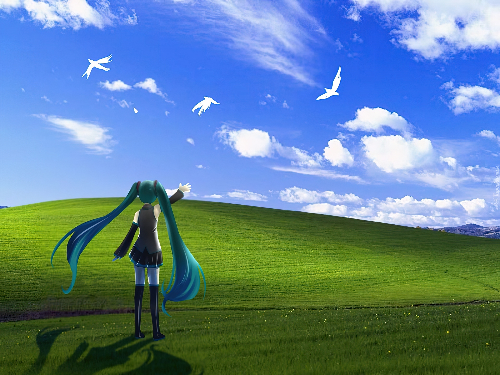 Miku Hatsune, Vocaloid, Windows XP, Ptaki