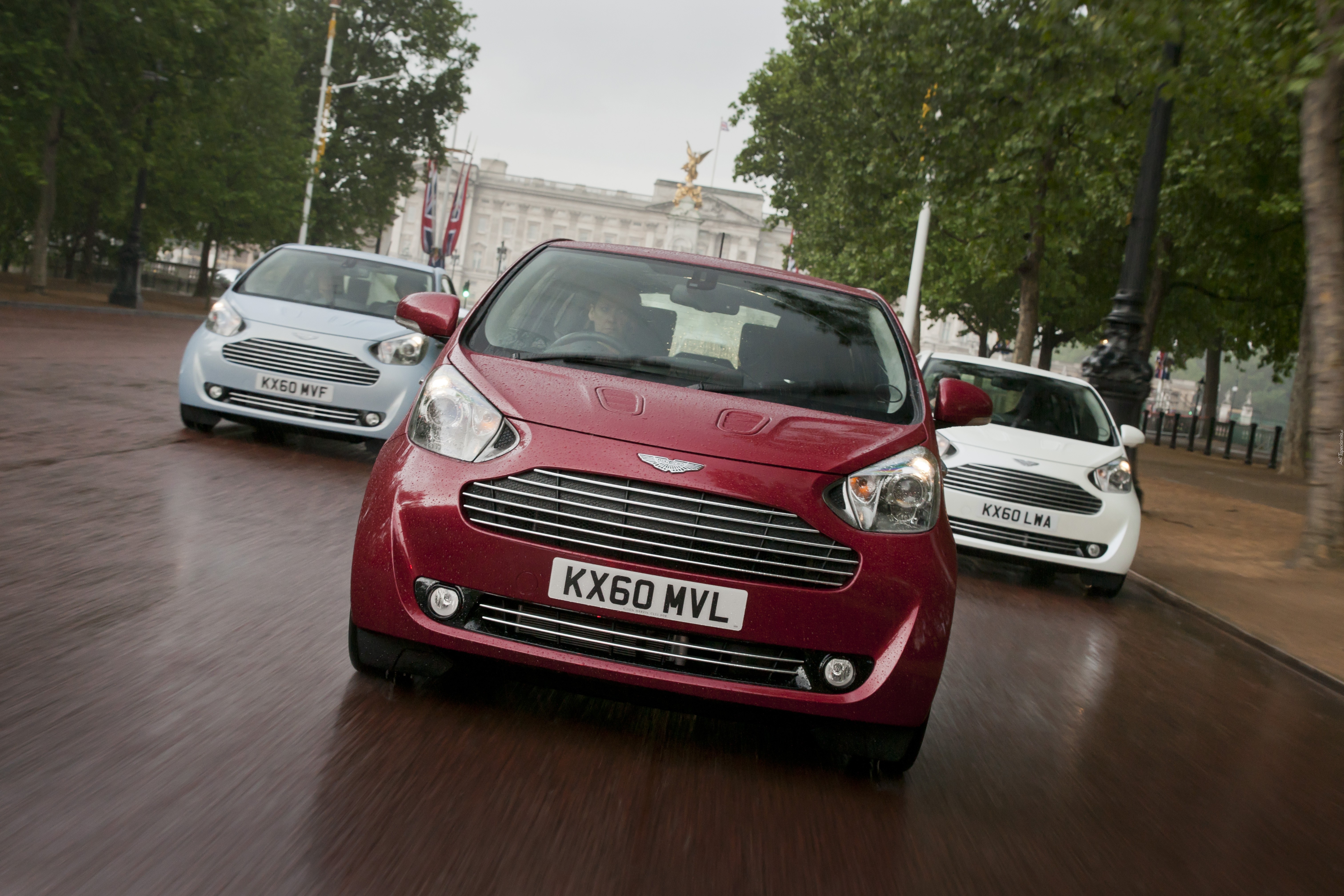 Aston Martin Cygnet, Różne, Kolory