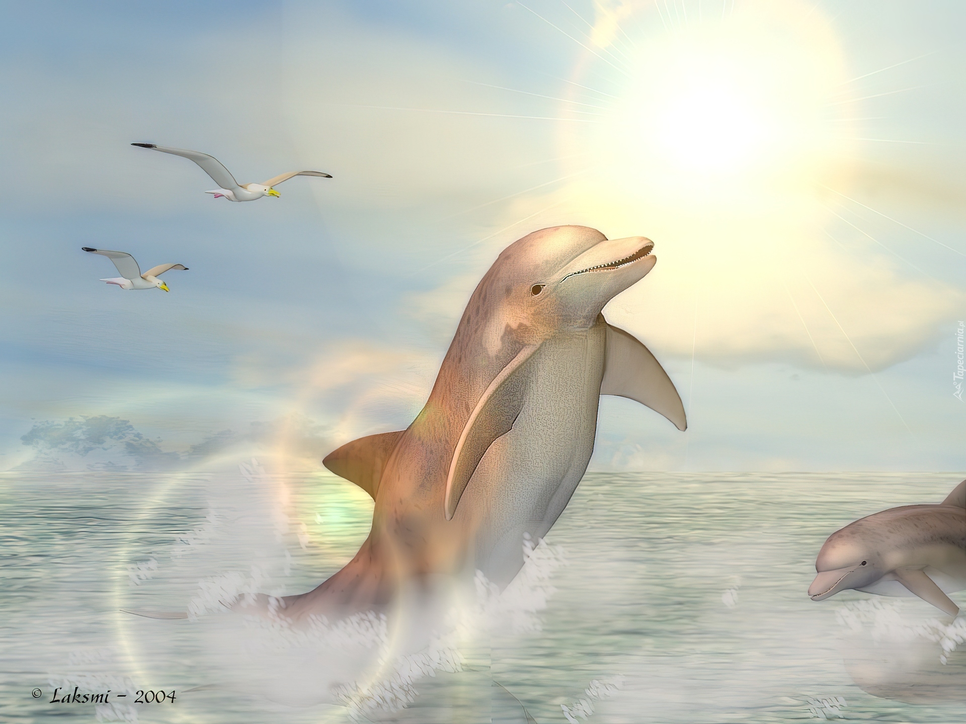 Delfiny, Morze, 3D