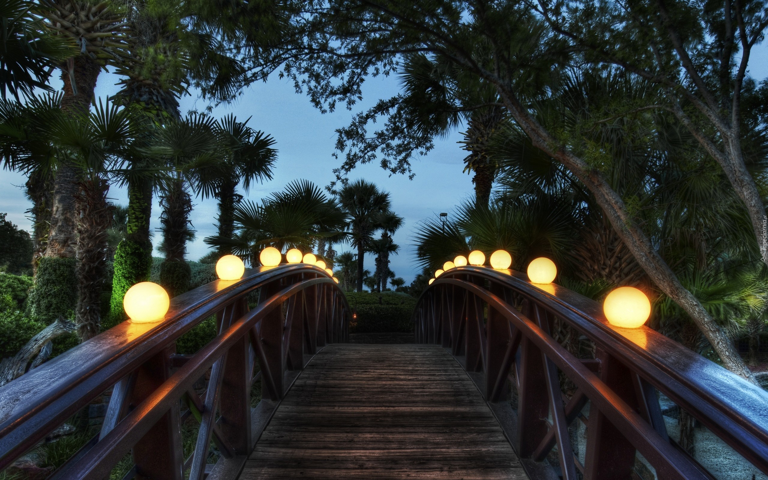 птица ночь фонари мост бесплатно