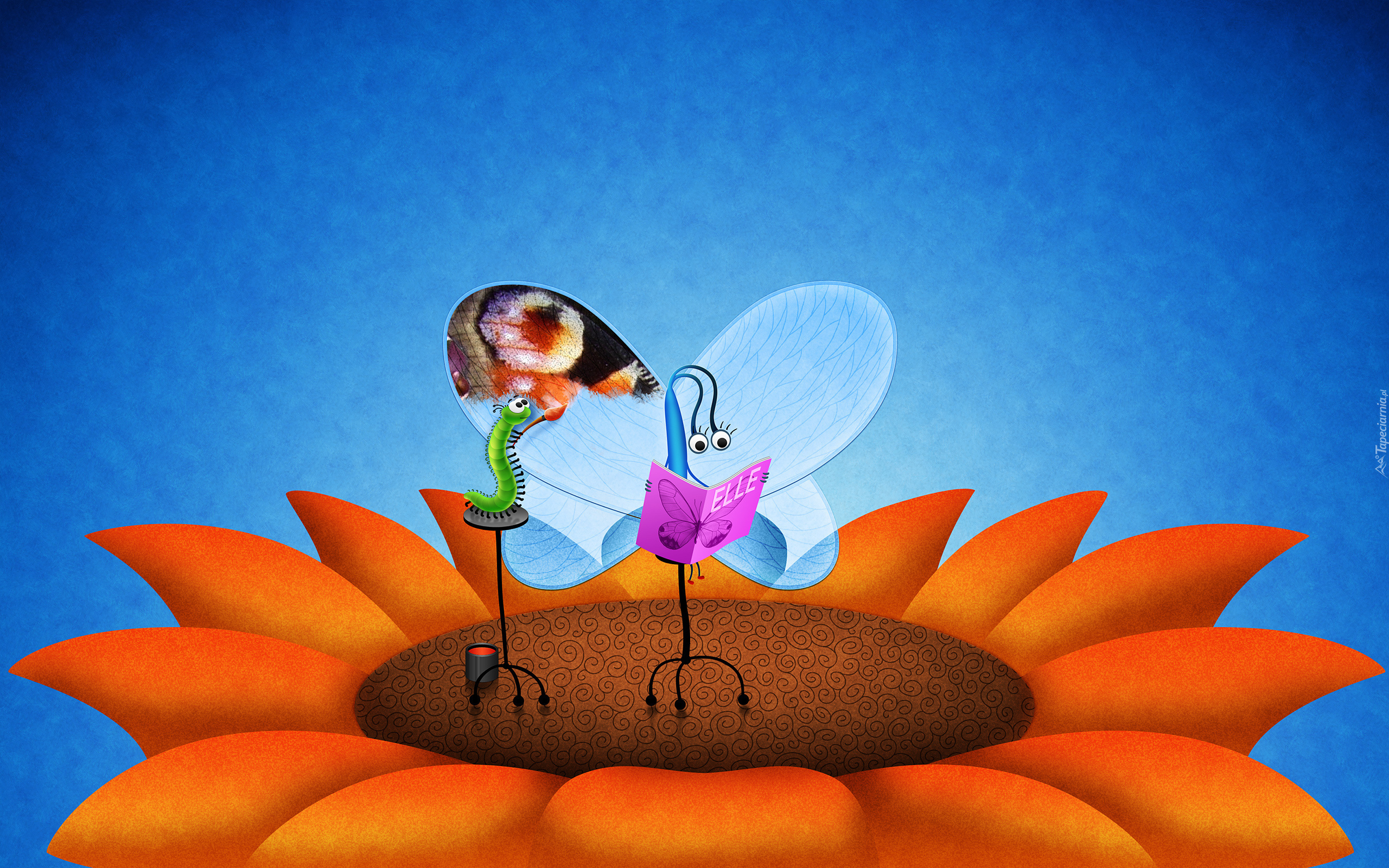 Kwiat, Motyl, Gąsienica