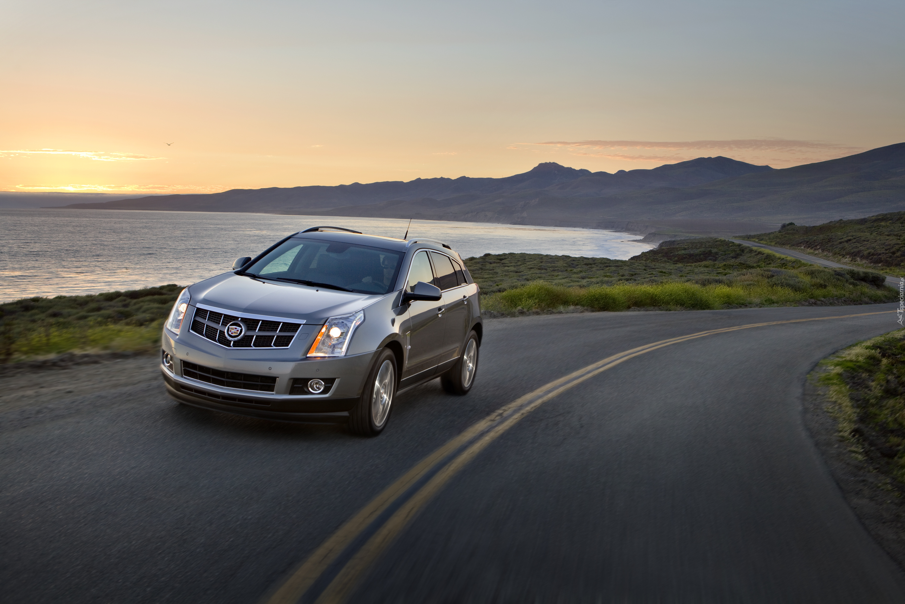 Cadillac SRX, SUV