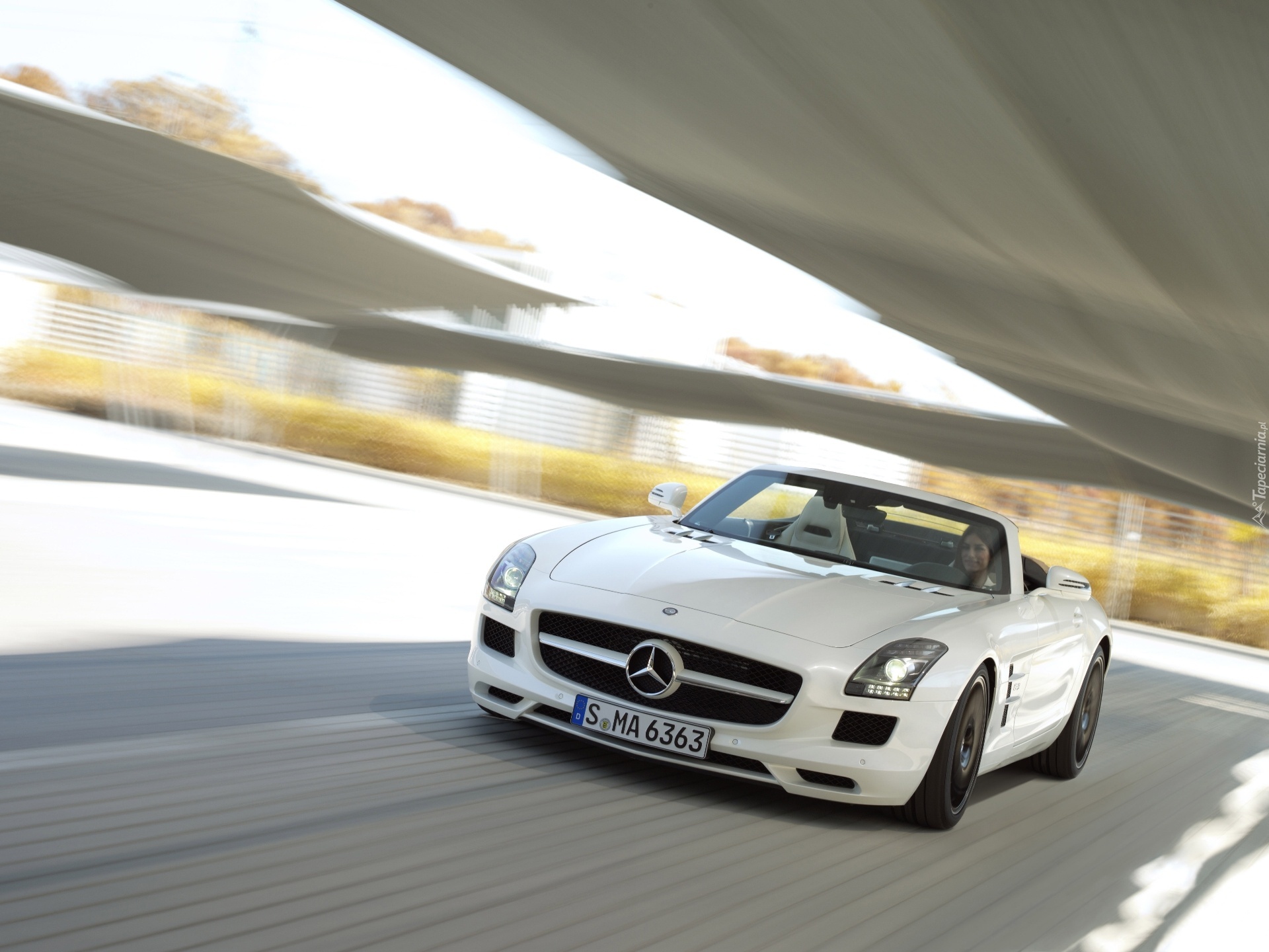 Mercedes-Benz SLS Roadster AMG