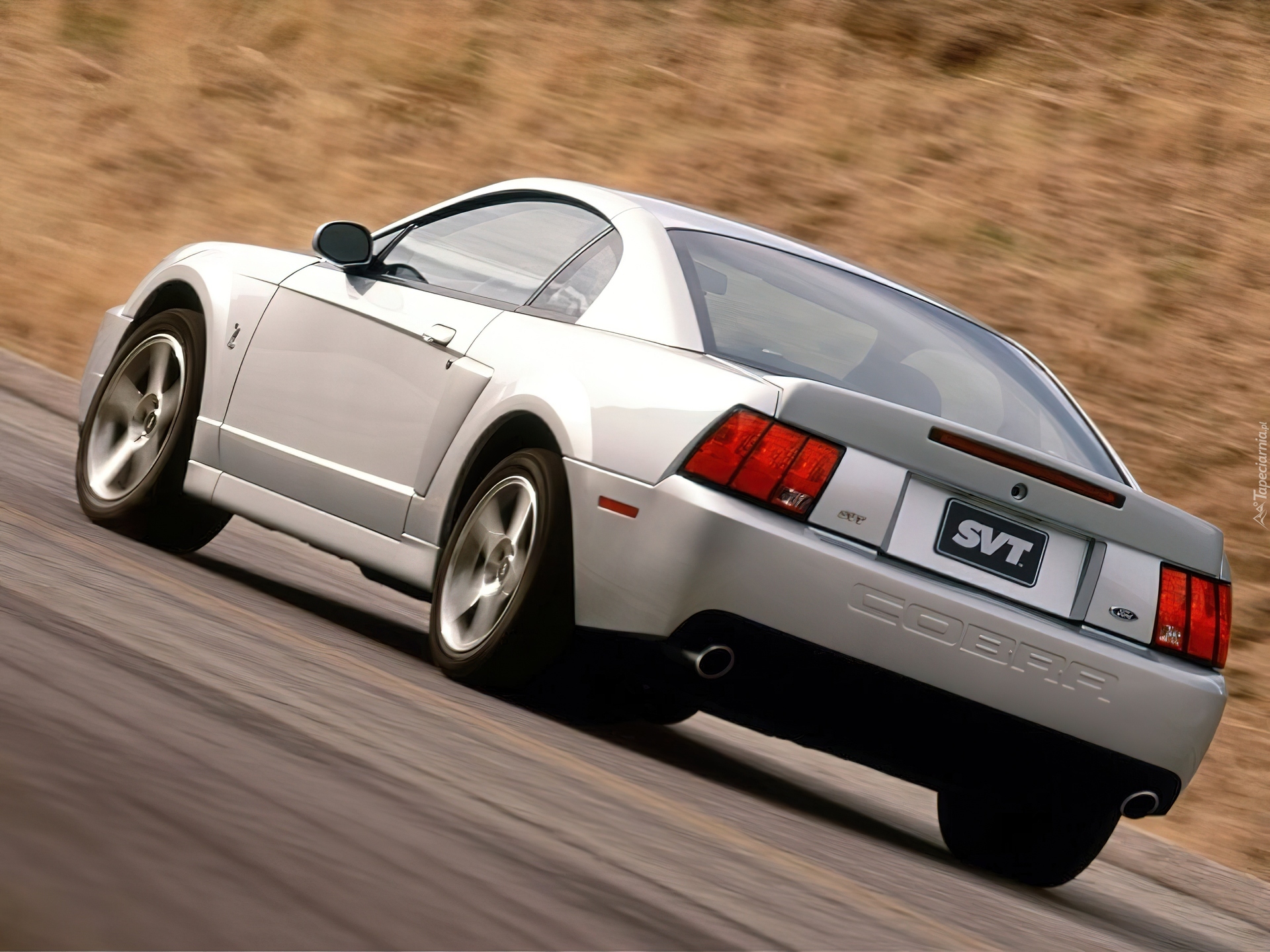 Mustang cobra. Ford Mustang SVT Cobra. Ford Mustang SVT Cobra 2003. Форд Мустанг Кобра 2000. Ford Mustang 4 Cobra.