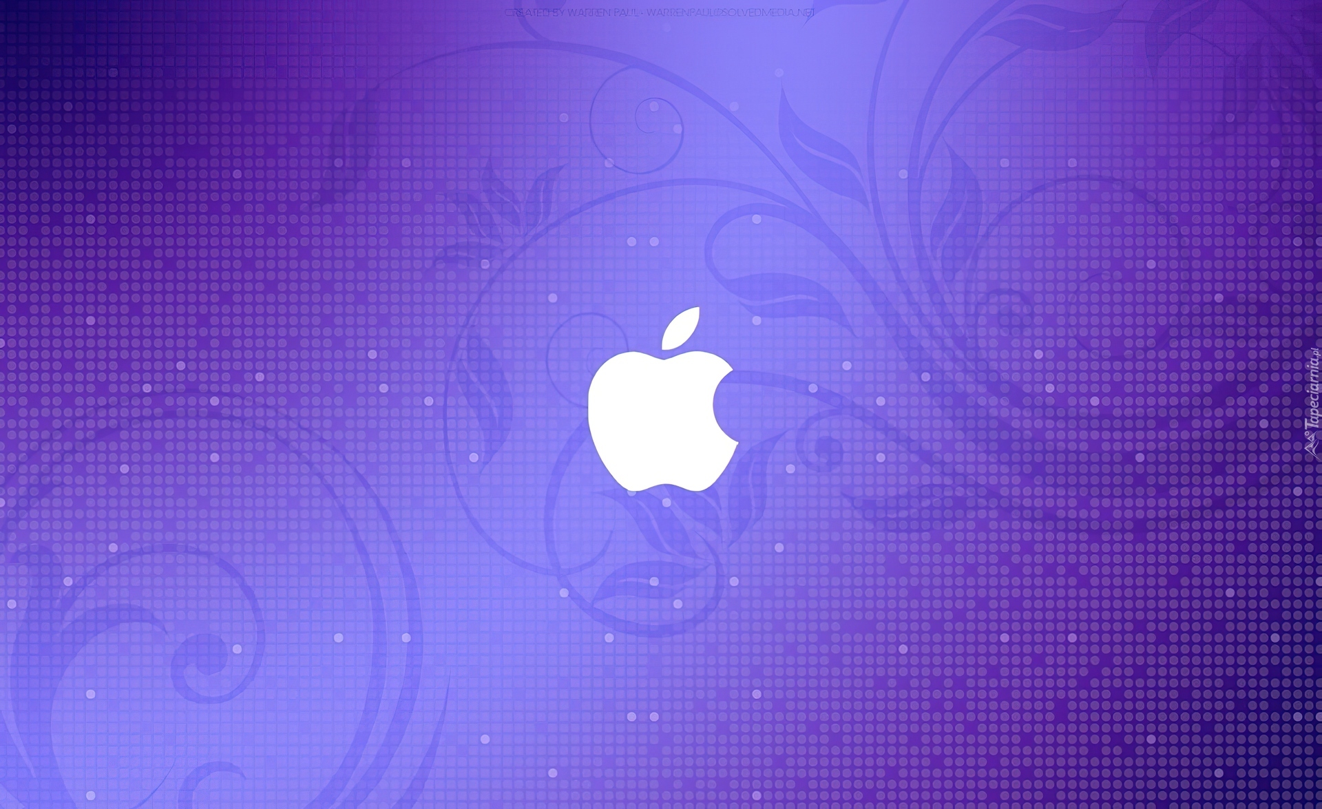Logo, Apple, Fioletowe, Tło