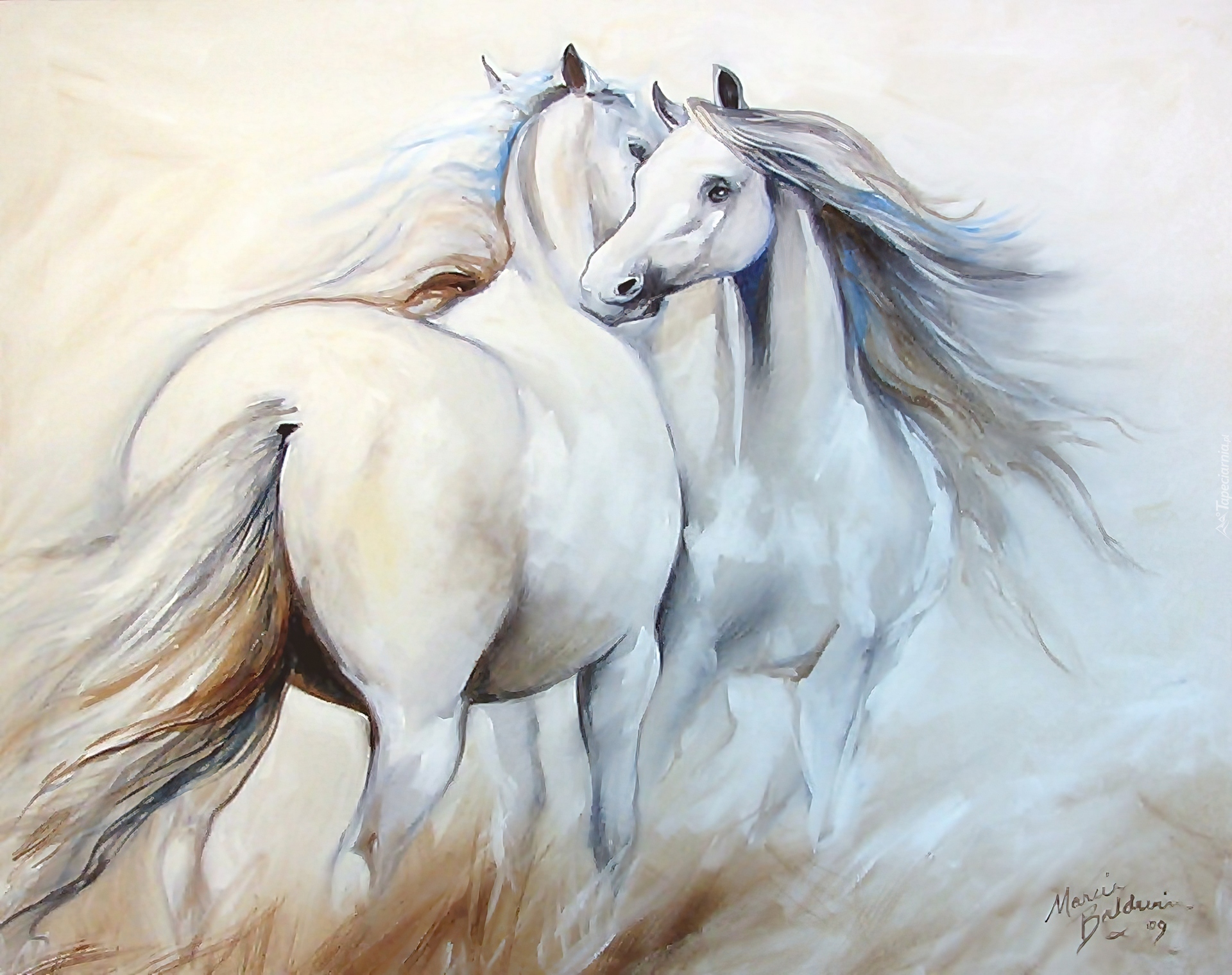 Dwa, Białe, Konie, Reprodukcja, Obrazu, Marcia Baldwin