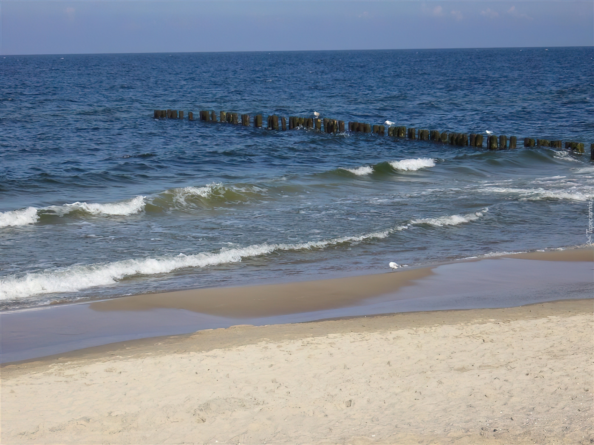 Kołobrzeg, Morze, Plaża