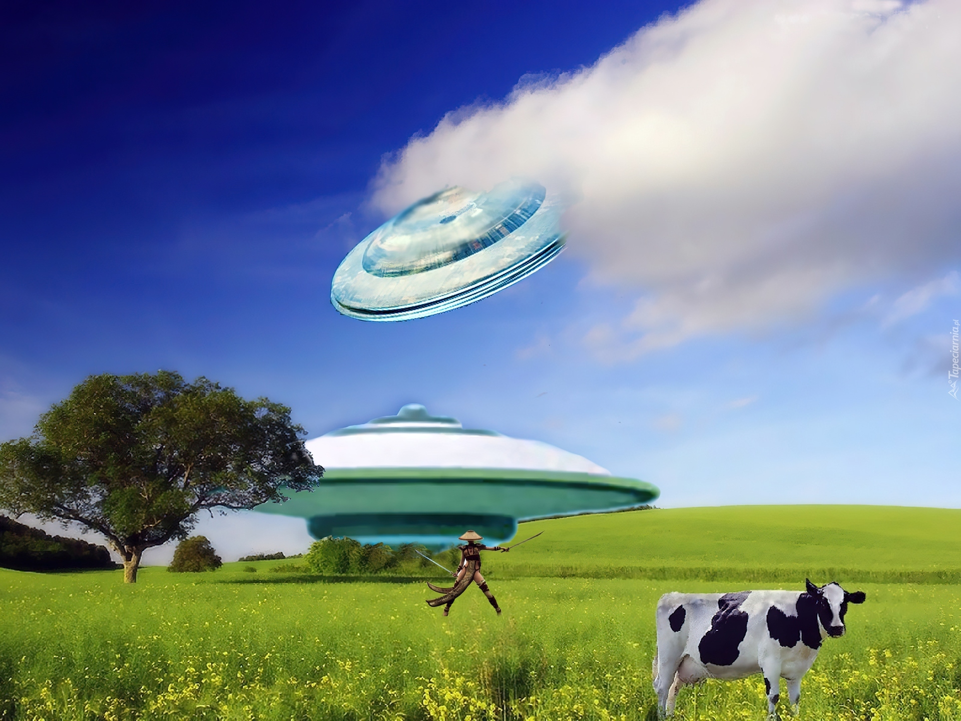 Krowa, UFO