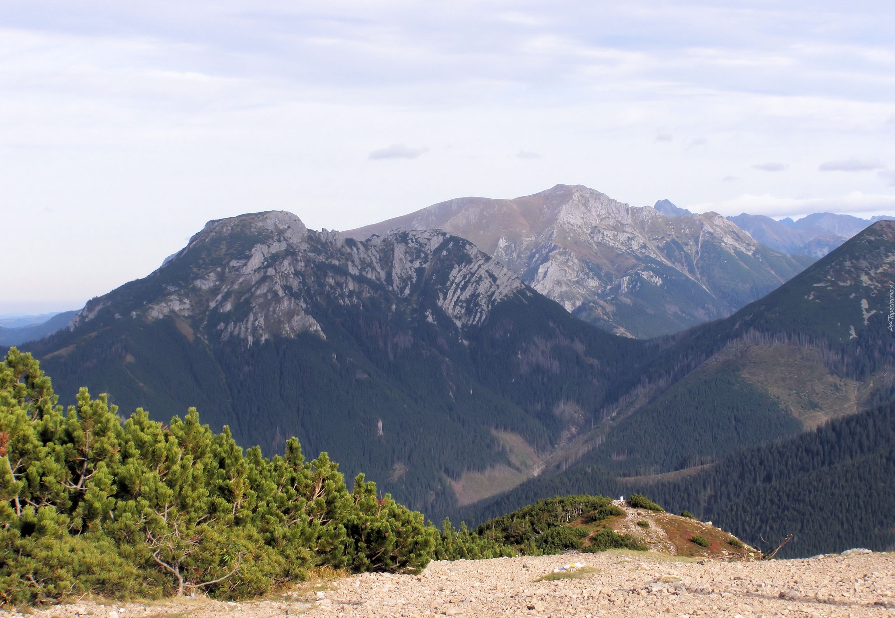 Tatry, Zachodnie