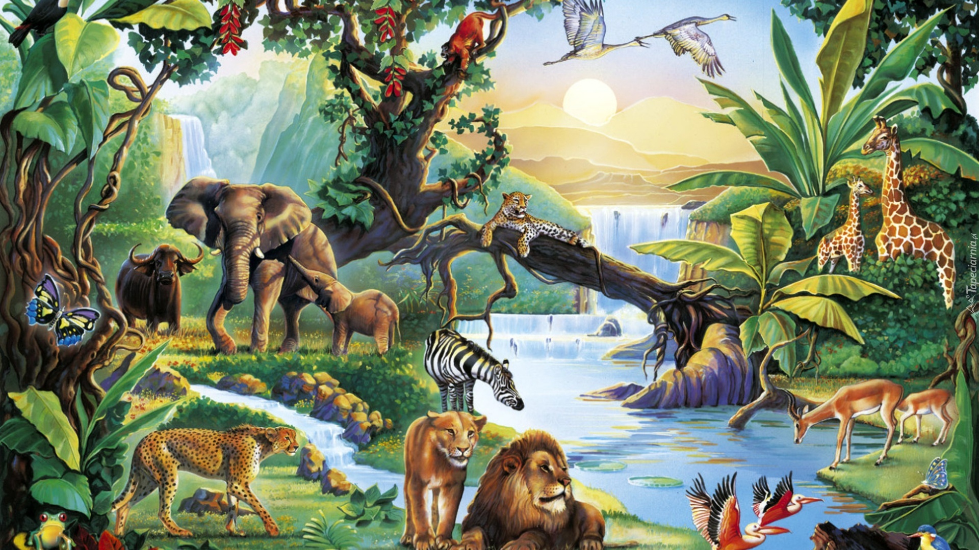 Wodospad, Zwierzęta, Safari