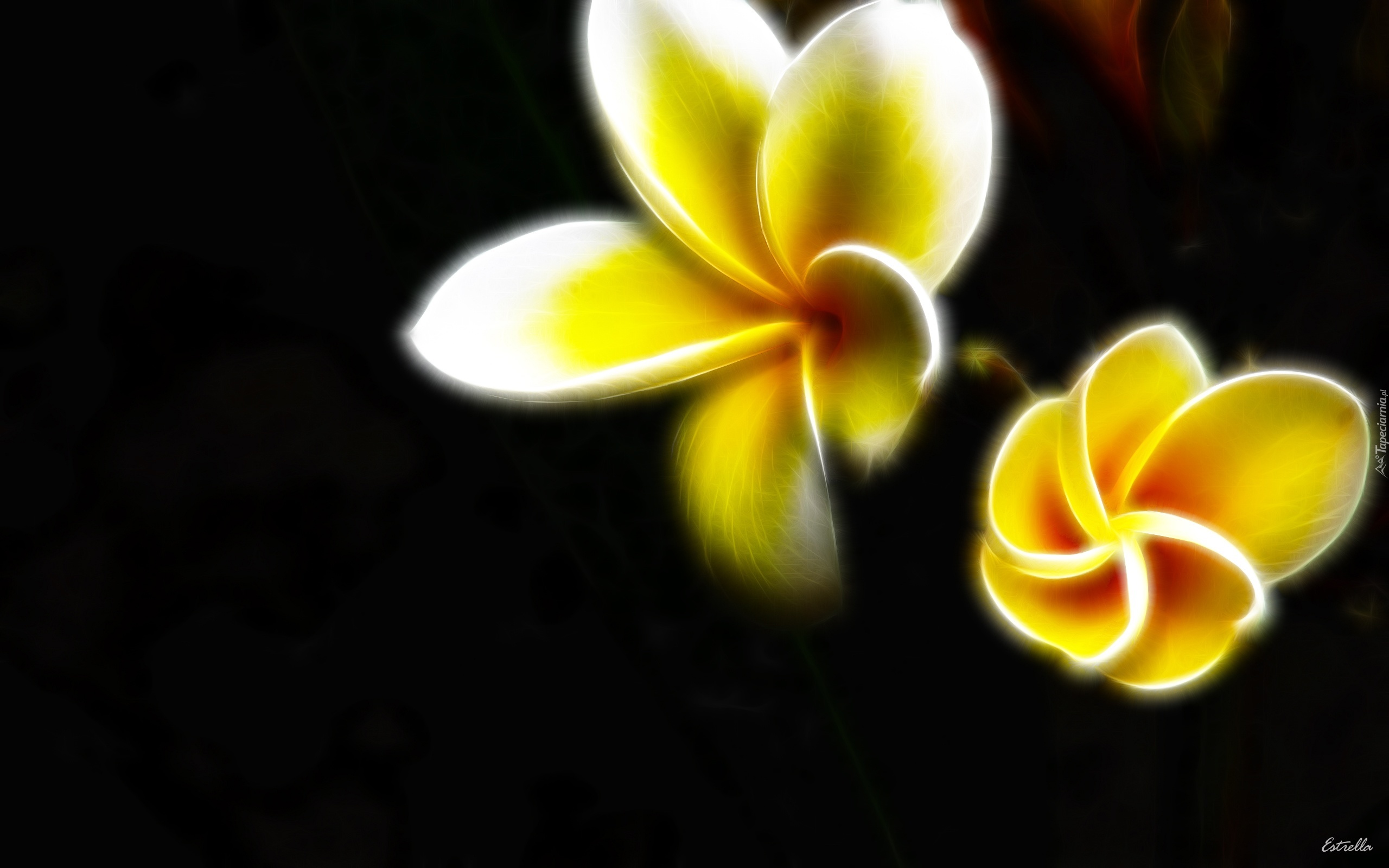 Fractalius, Plumeria