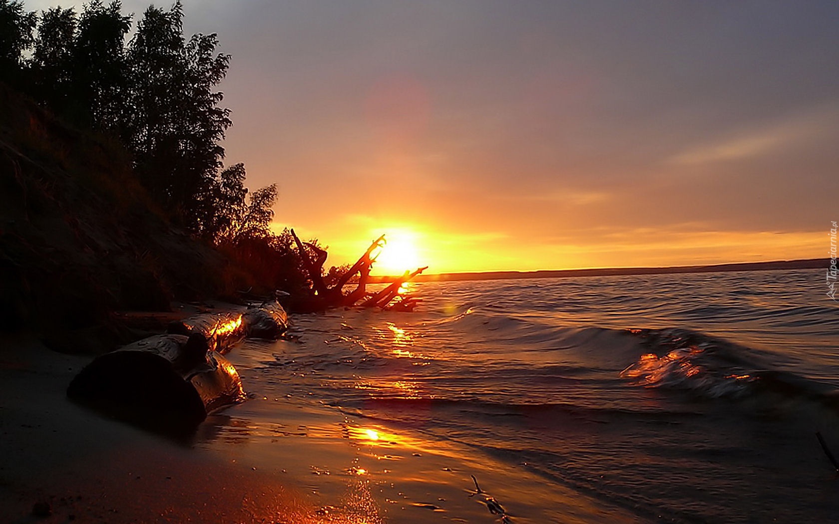 Widok, Fala, Plaża