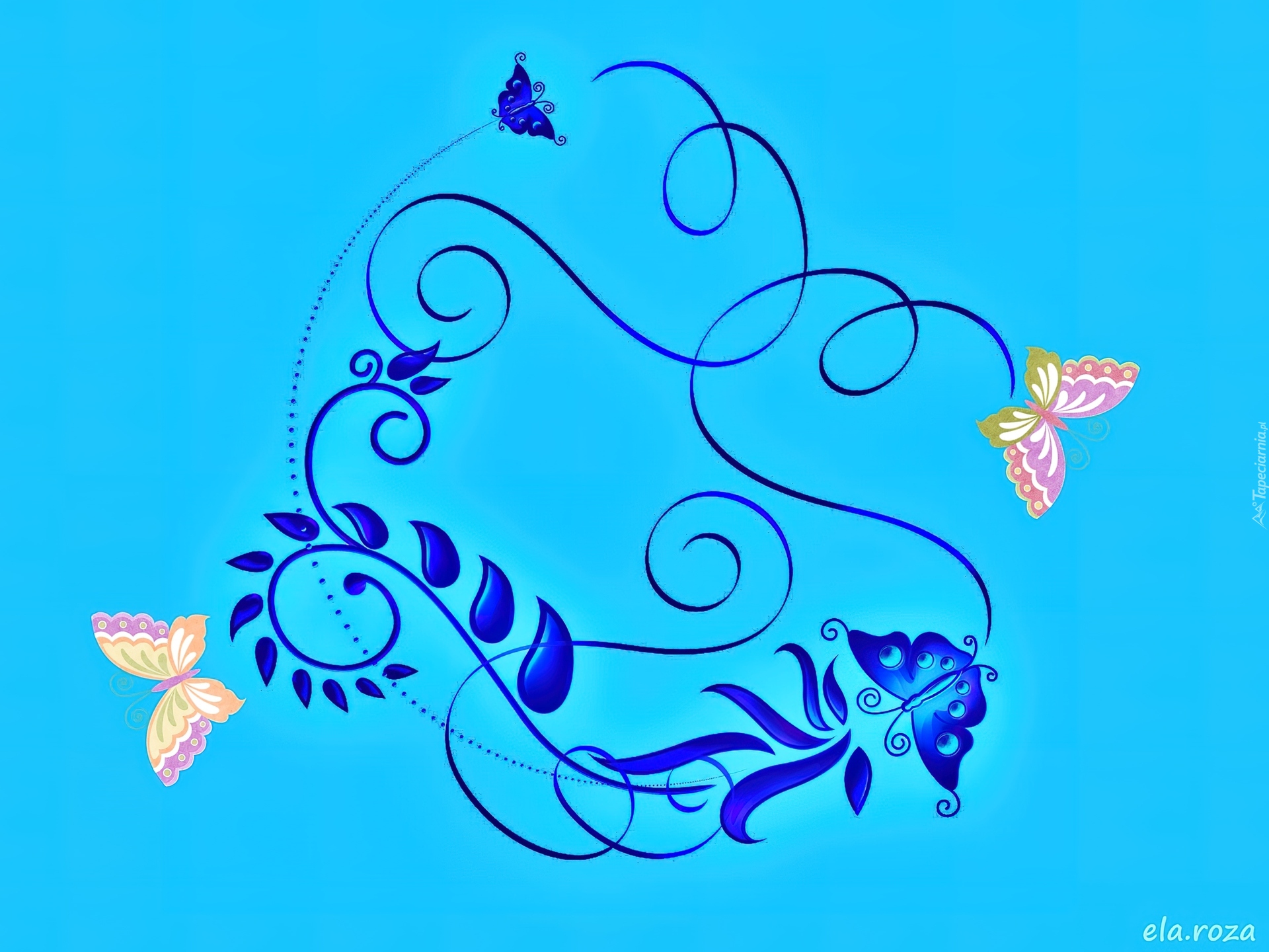 Tekstura, Ornament, Motyle