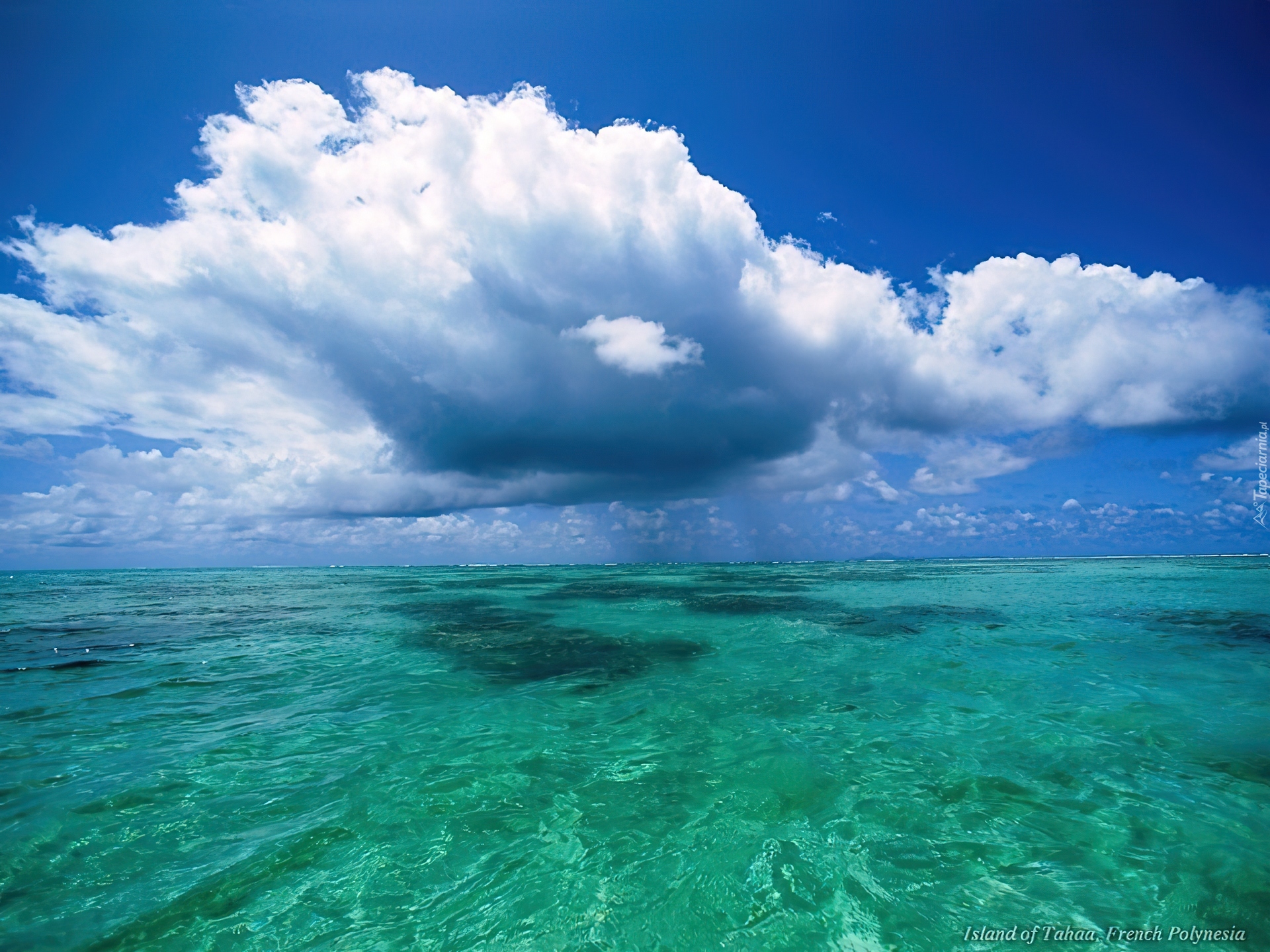 Воздух тихого океана. Карибское море Атлантический океан. Красивое море. Бирюзовое море. Изображение моря.
