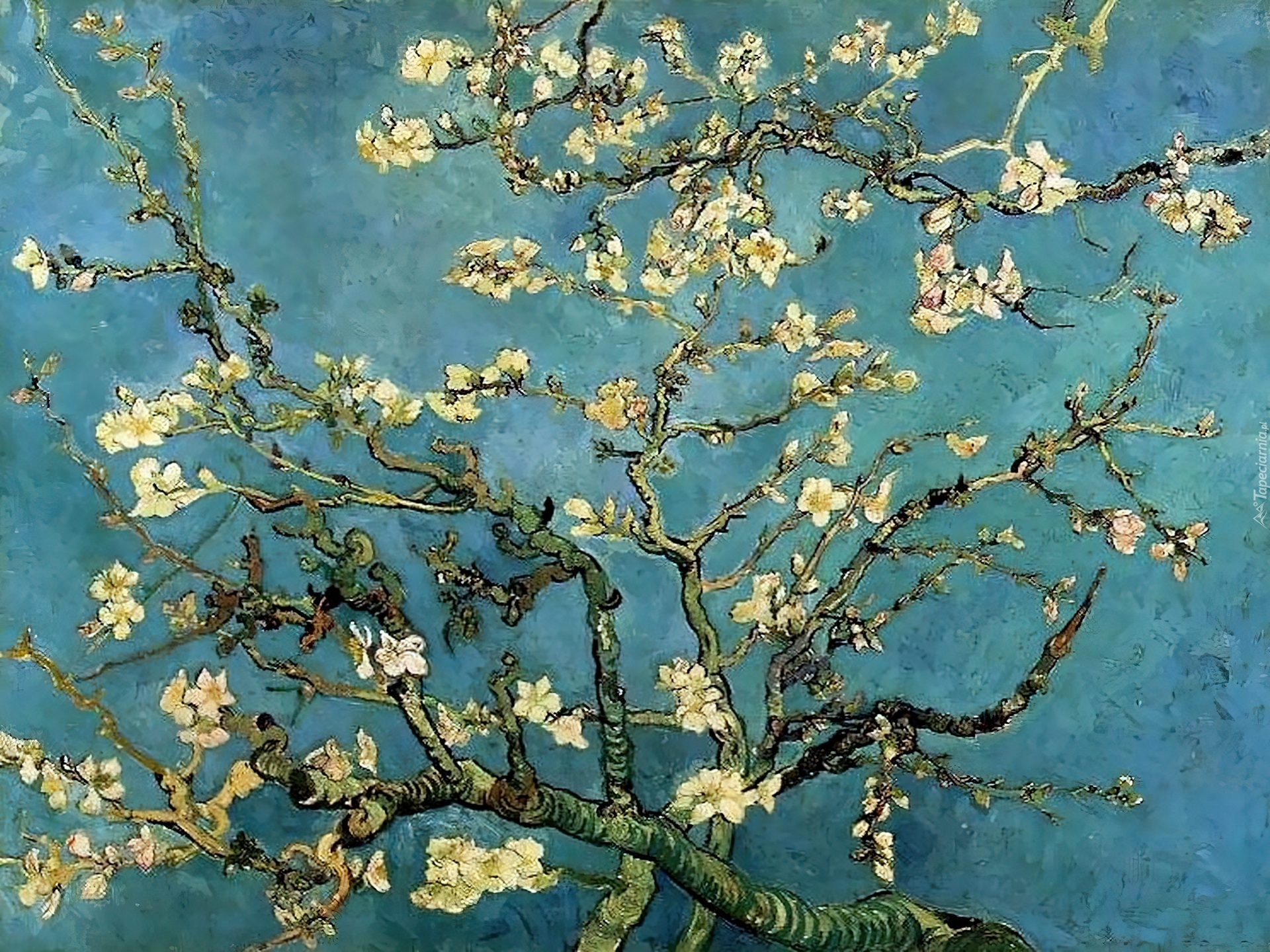 Vincent Van Gogh, Almond, Branches, In, Bloom