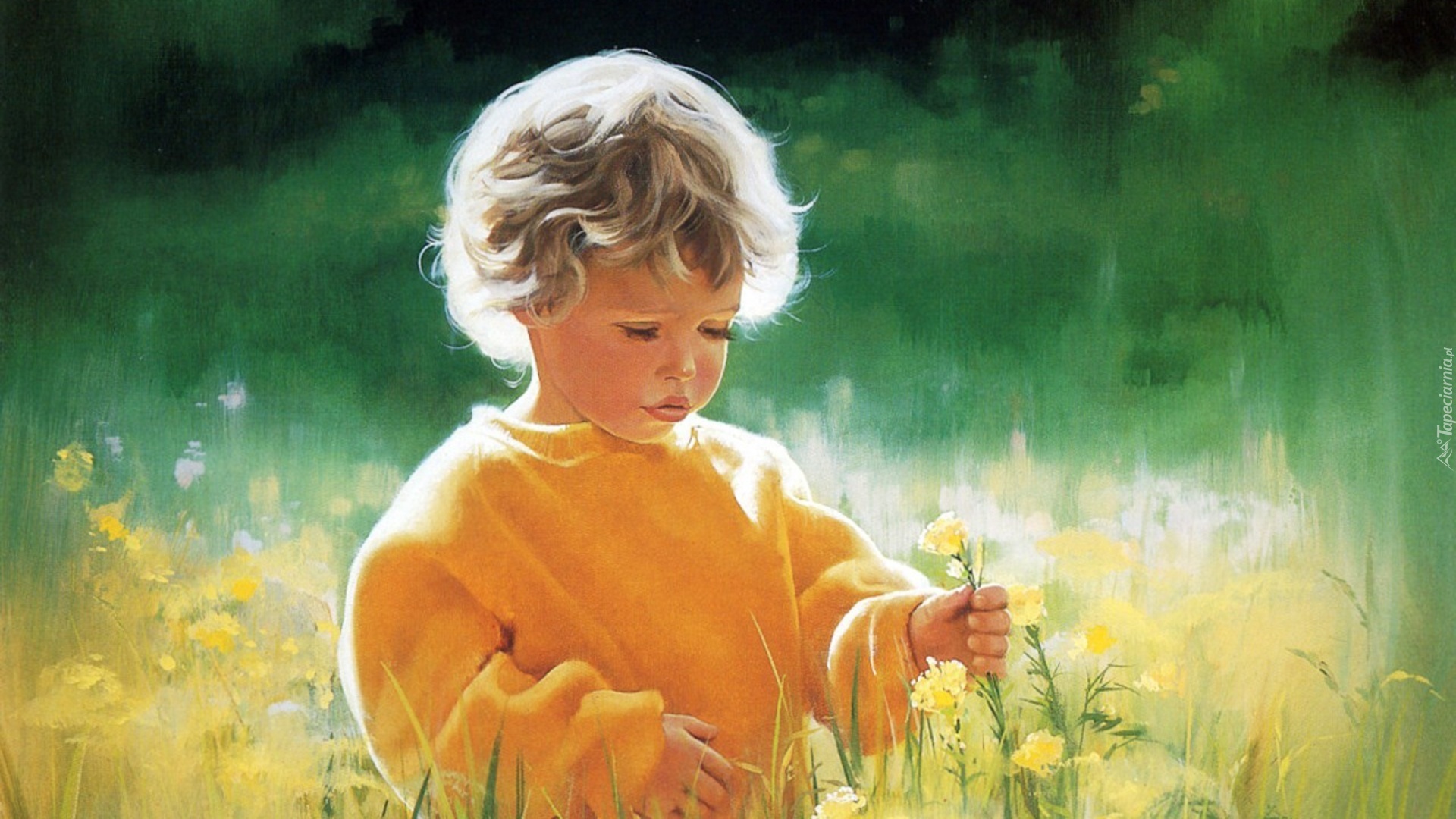 Chłopiec, Kwiaty, Donald Zolan