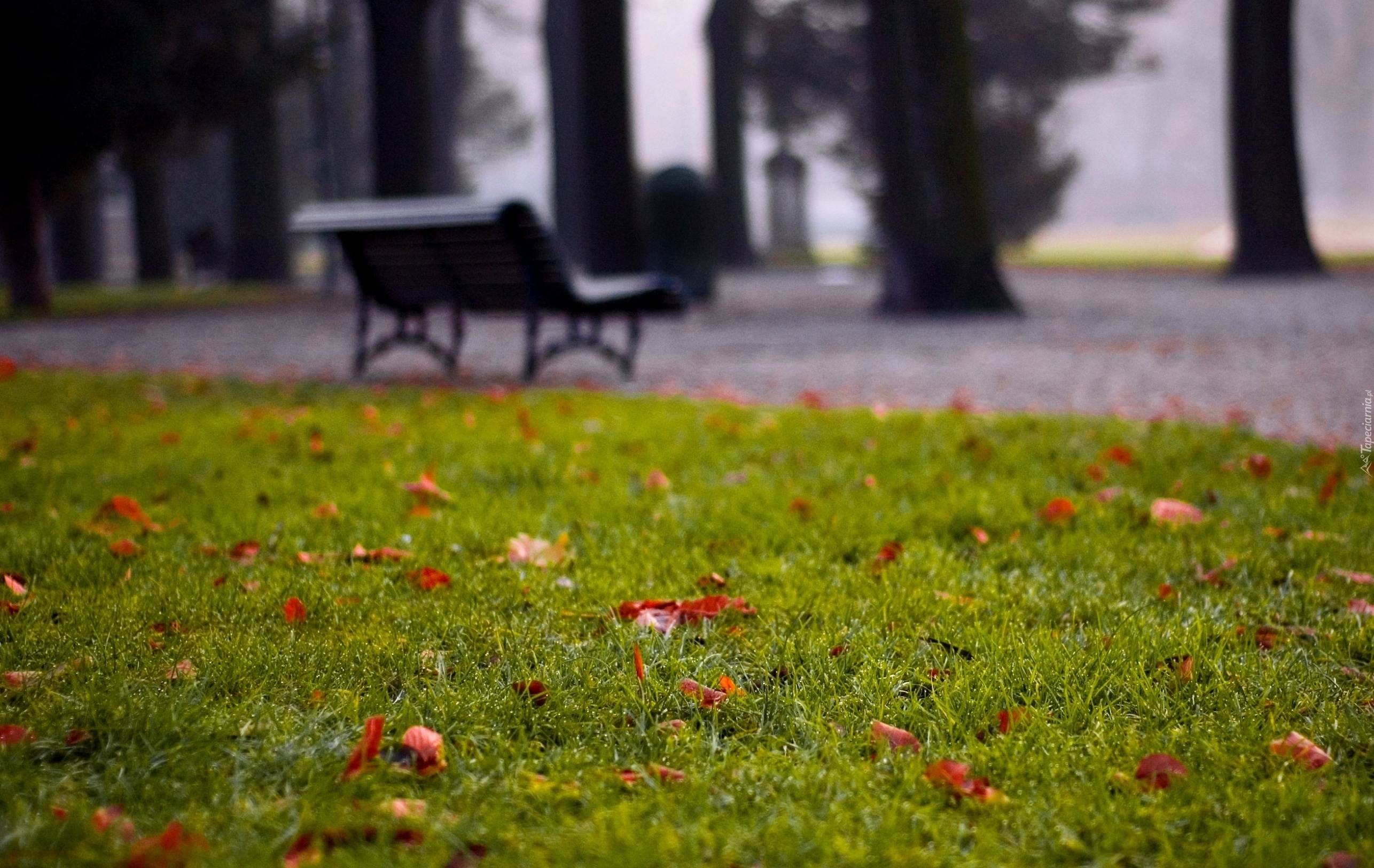 Jesień, Ławka, Park