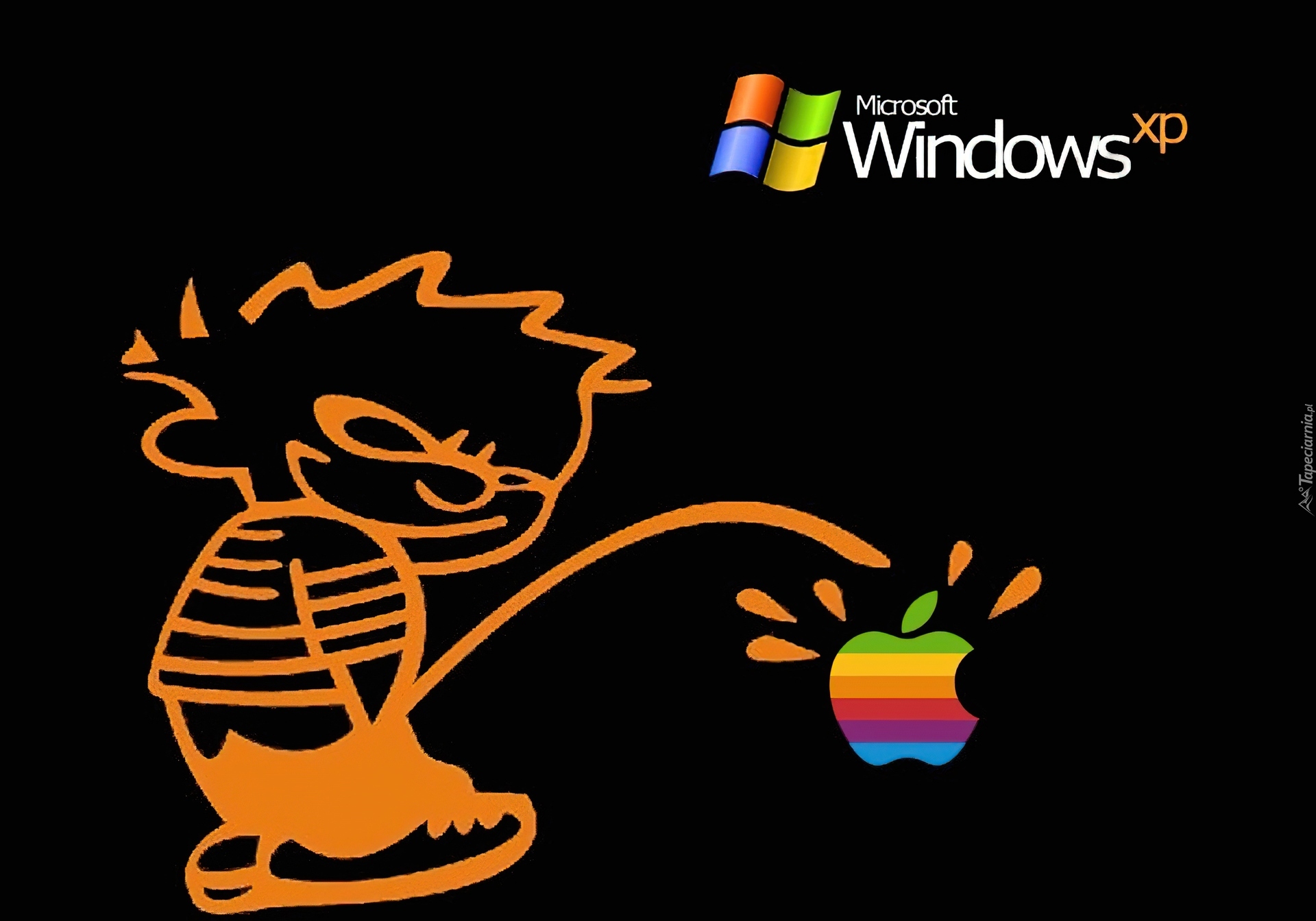 Windows, XP, Kontra, Apple