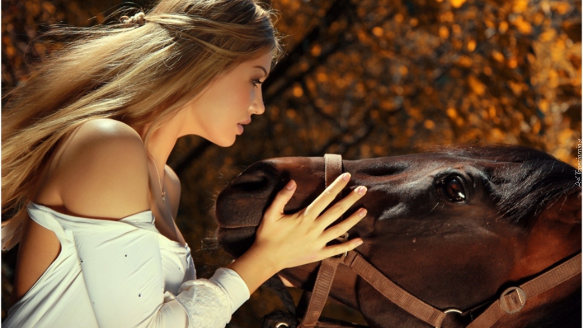 Dziewczyna, Koń, Przyjaciel