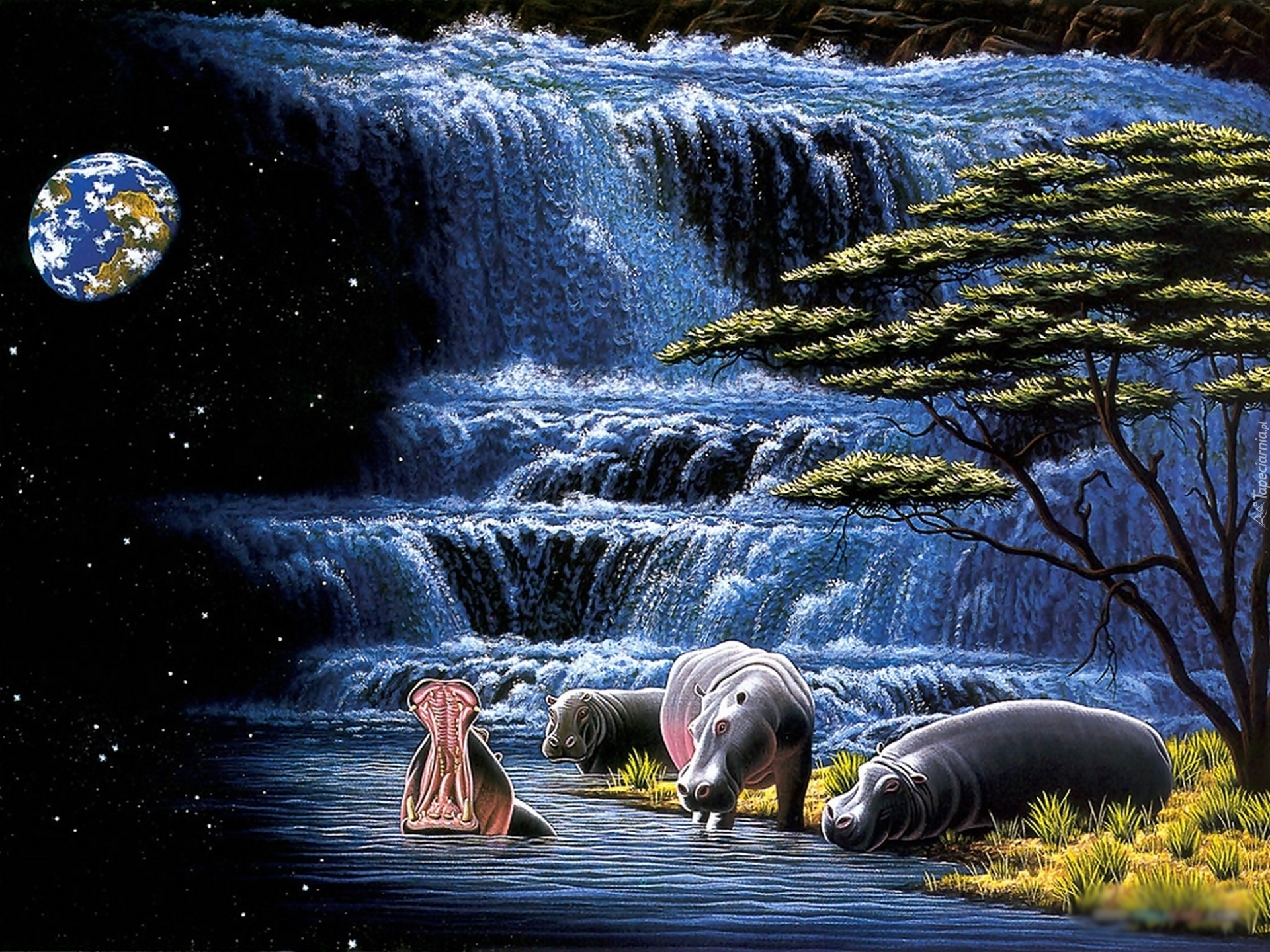 Hipopotamy, Wodospad, Planeta