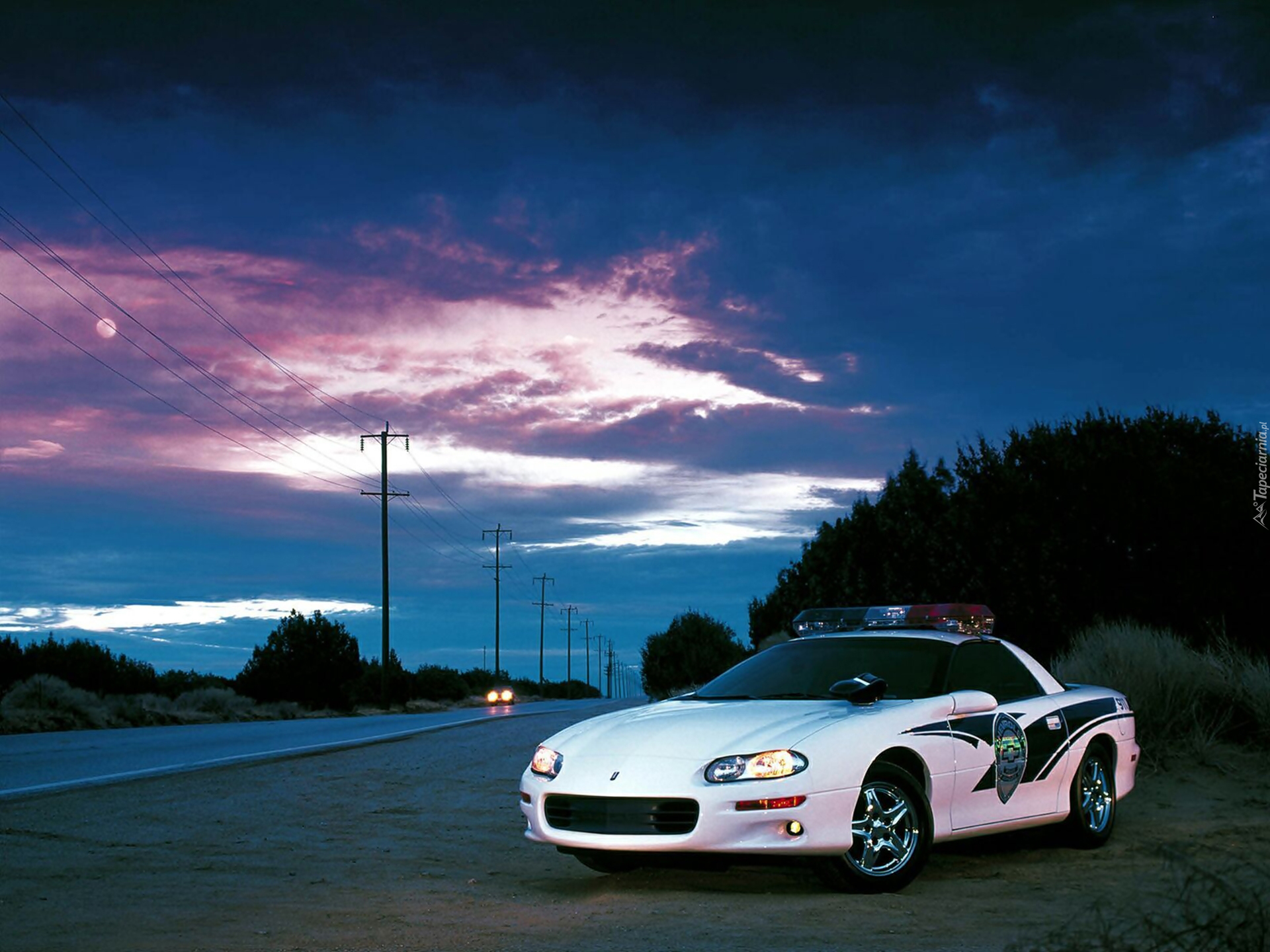 Chevrolet Camaro, Policja