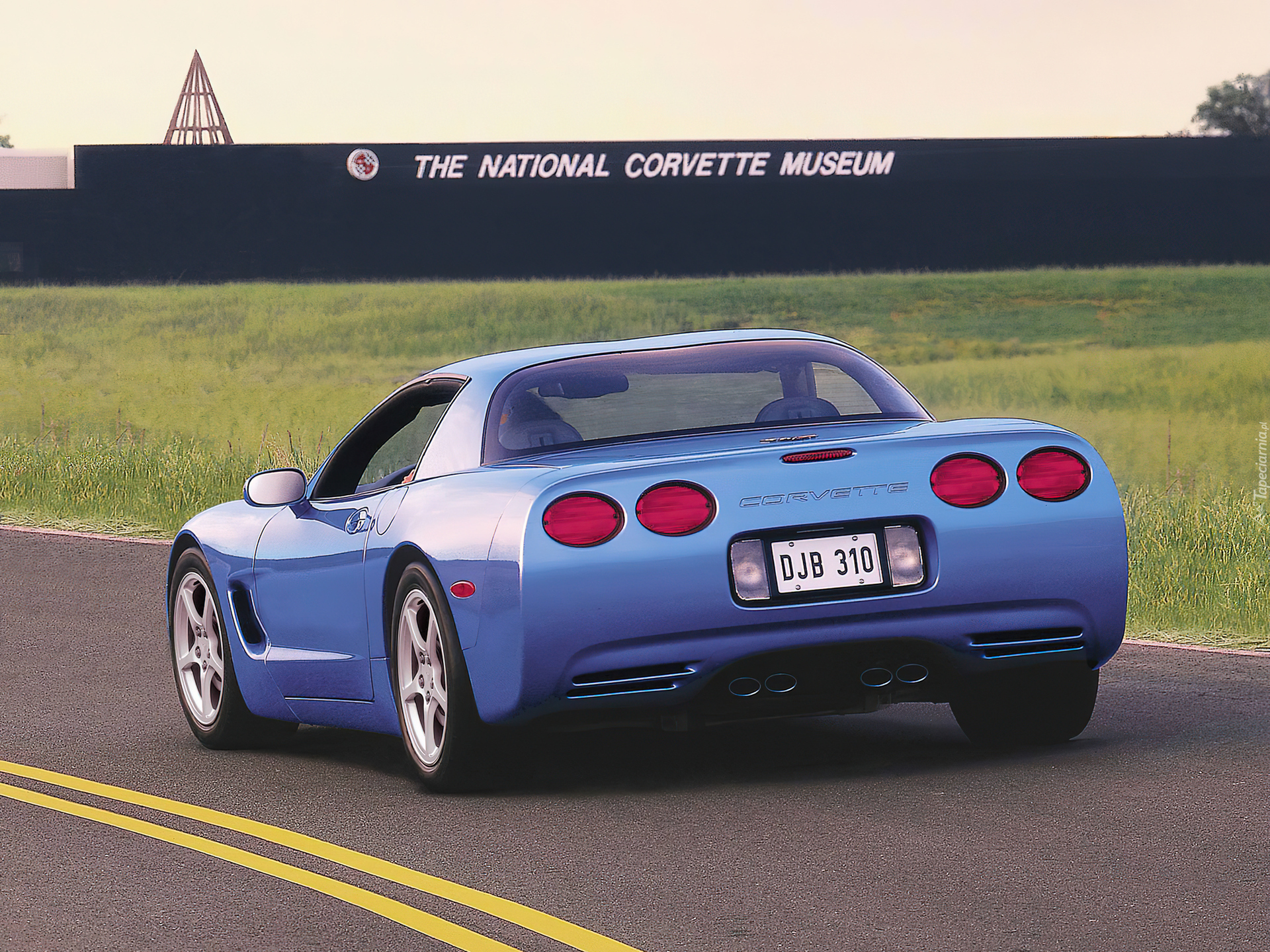 Corvette