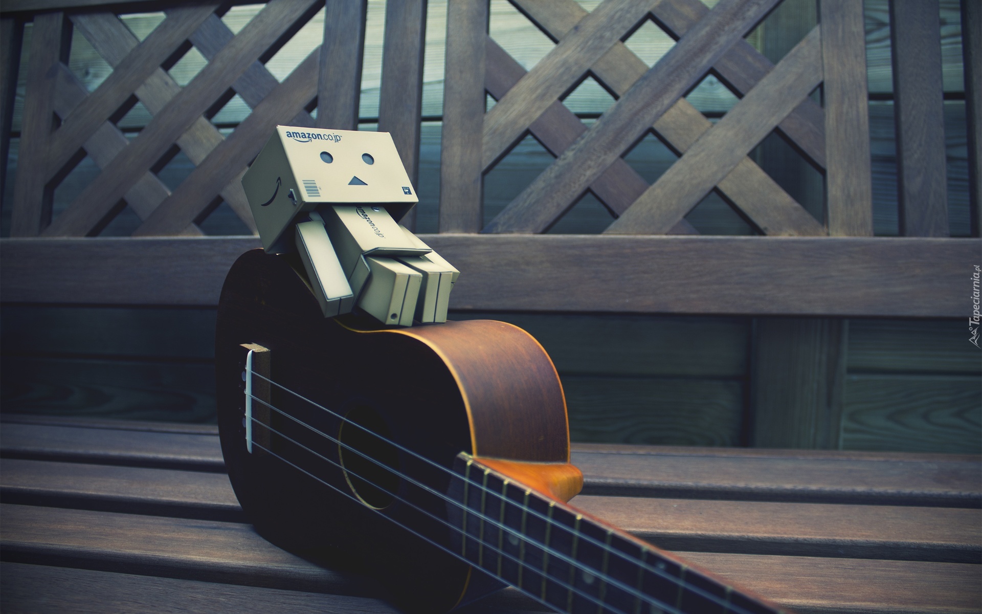 Danbo, Gitara