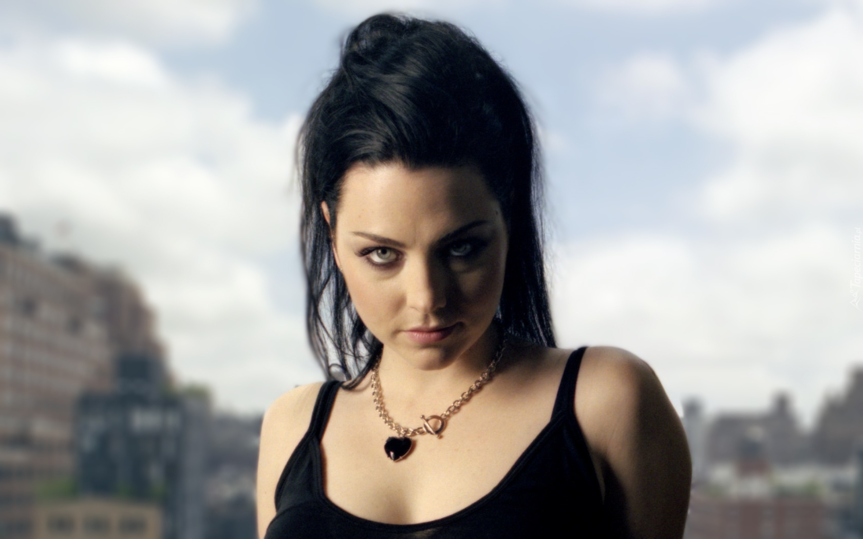 Amy Lee, Wokalistka