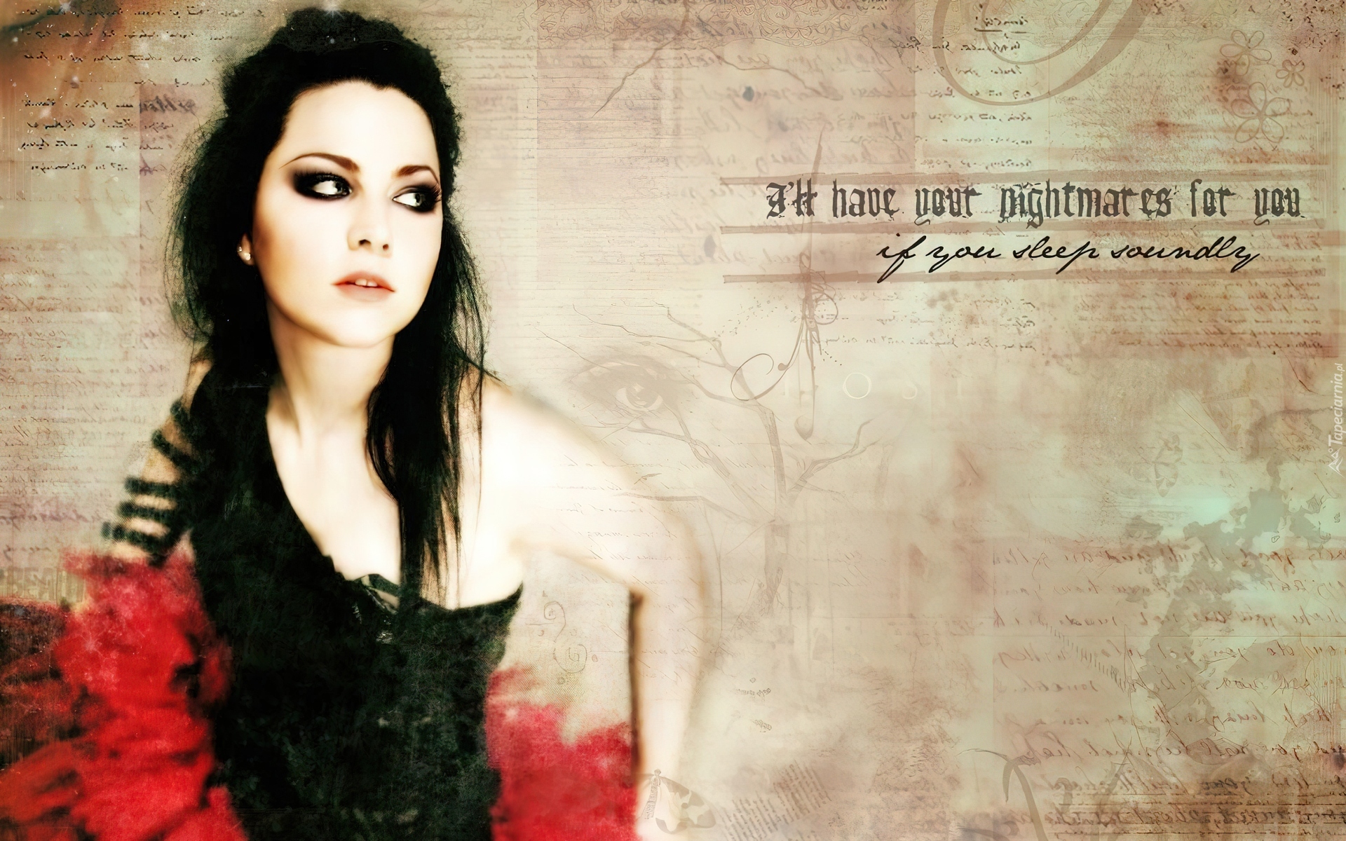 Amy Lee, Evanescence, Plakat