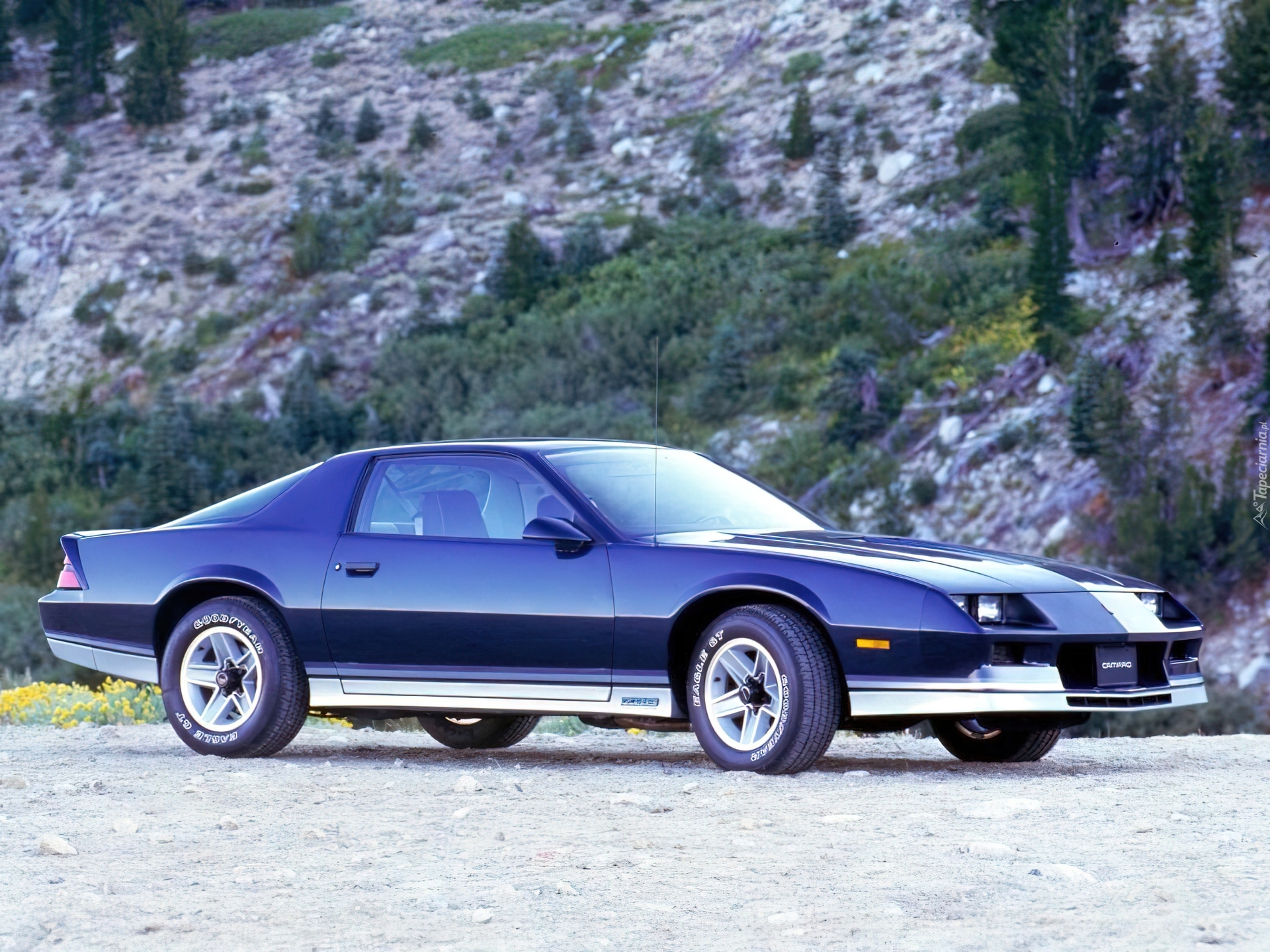 Niebieski, Chevrolet Camaro