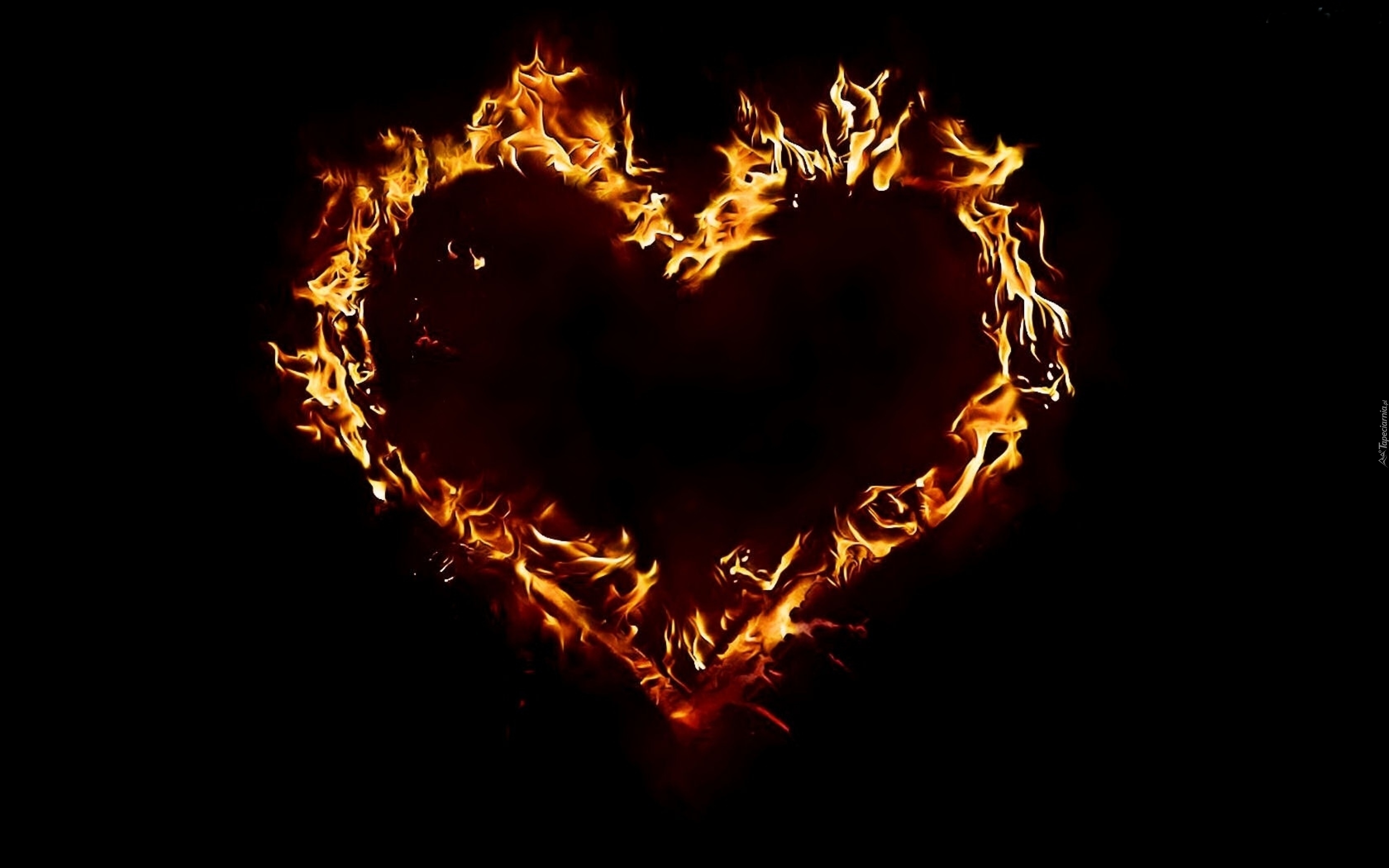 Serce, Ogień, Miłość