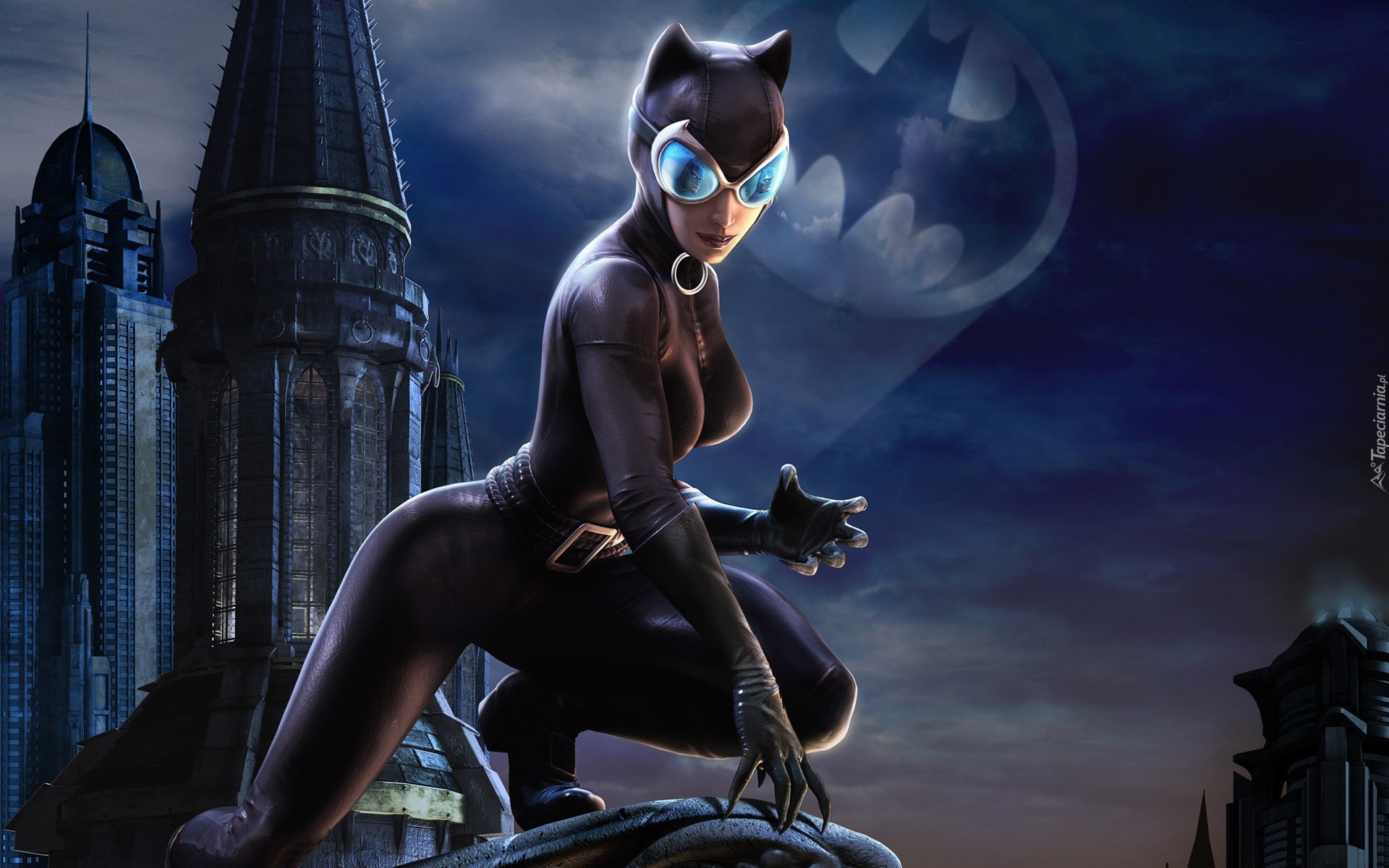 Kobieta, Kot, Znak, Batmana