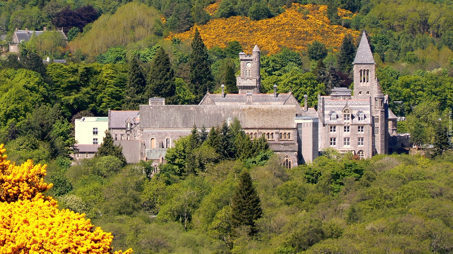 Szkocja, Zamek, Nad, Loch Ness