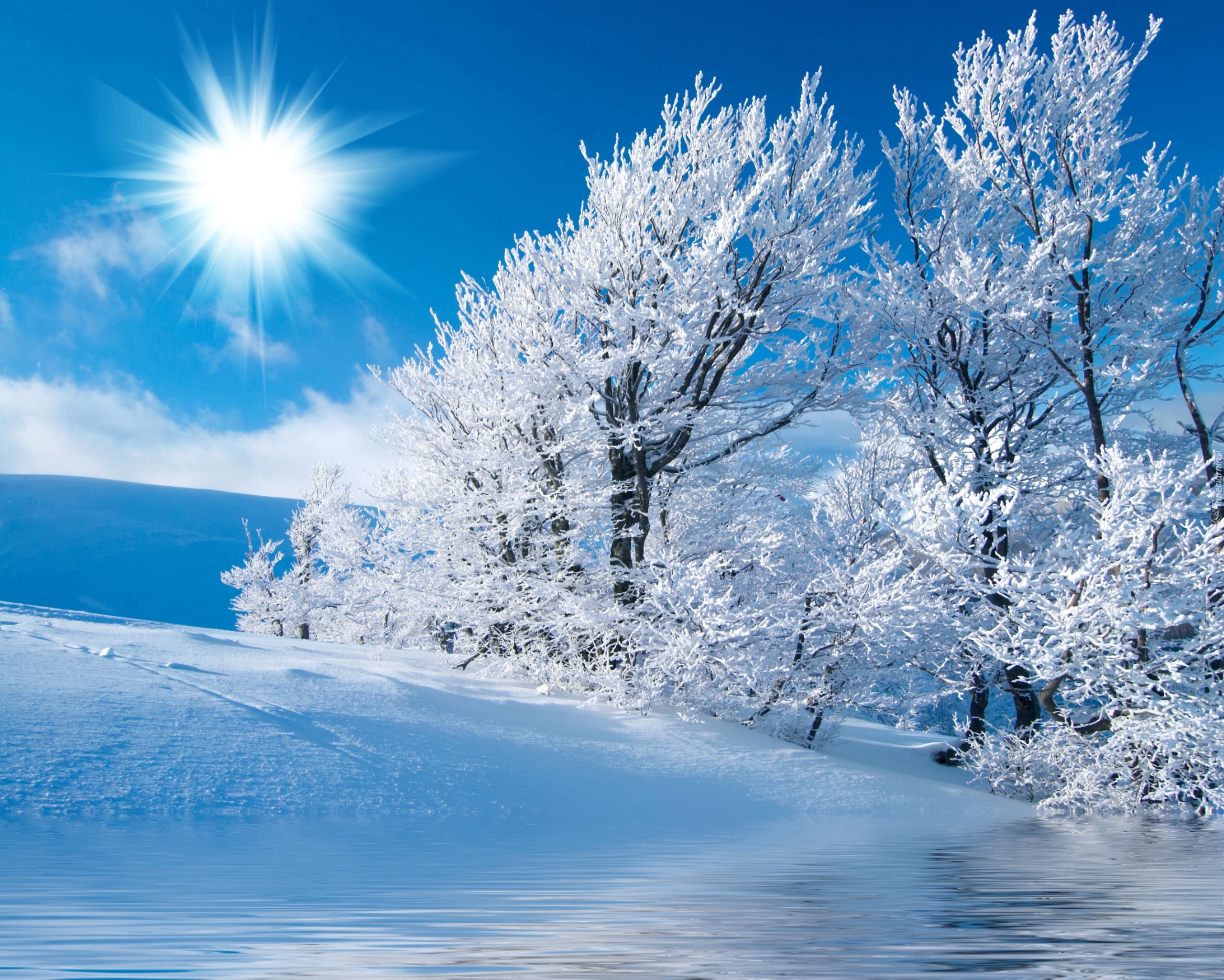 Свежесть зимний. Красивая зима. Зима пейзаж. Обои зима. Красивая Снежная зима.